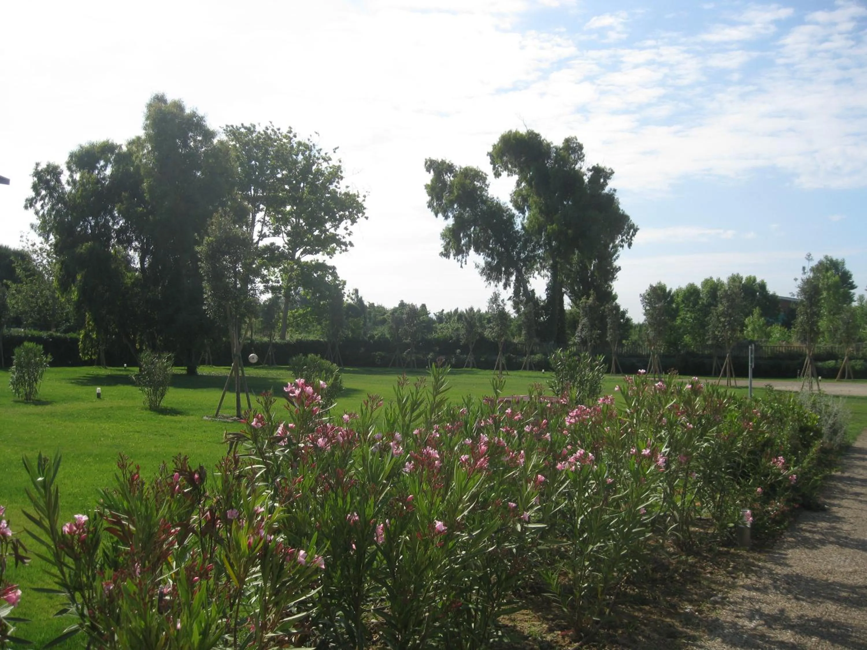 Natural landscape in Eliopoli Beach Hostel & Restaurant