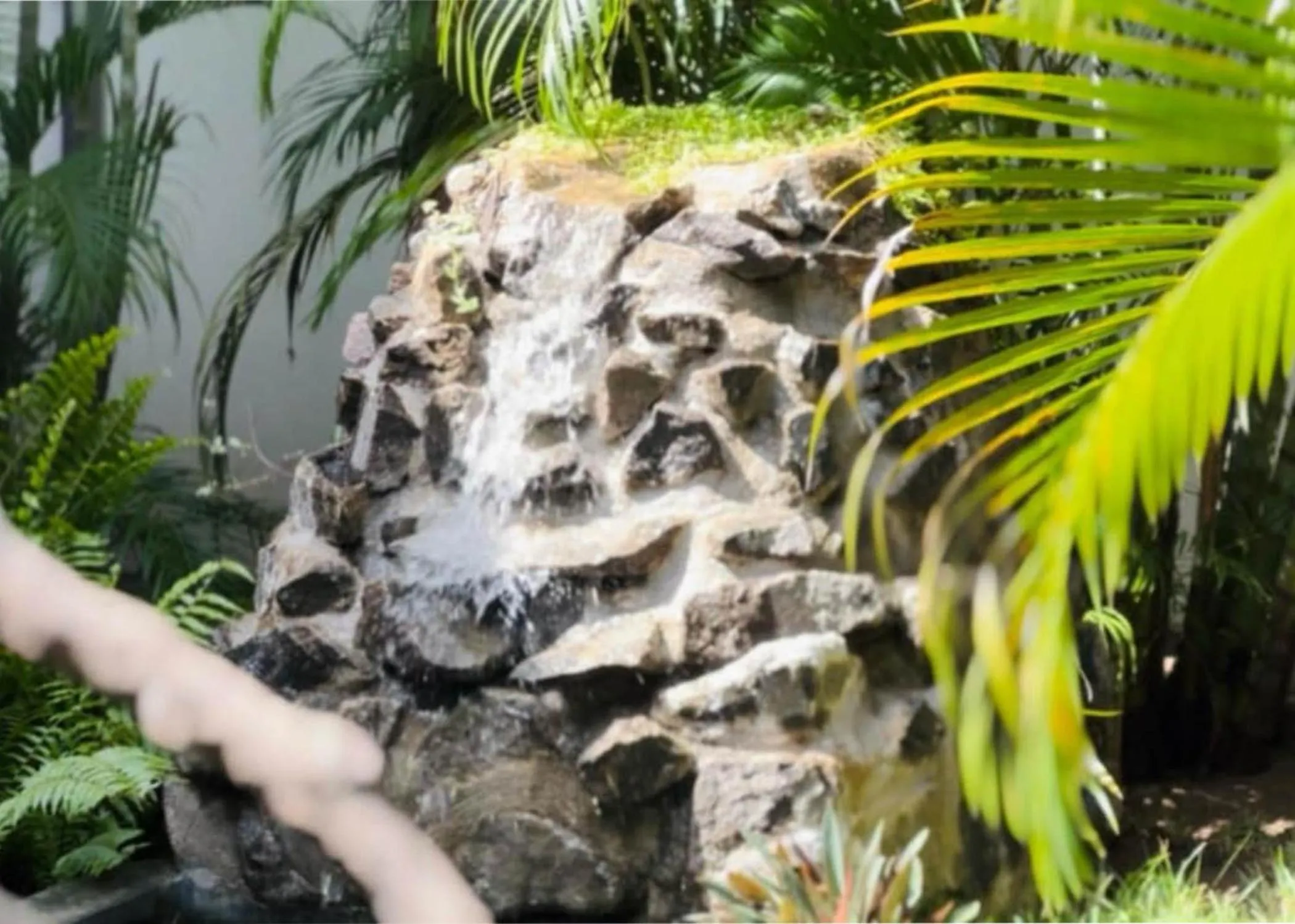 Garden view in Thirumalai Park