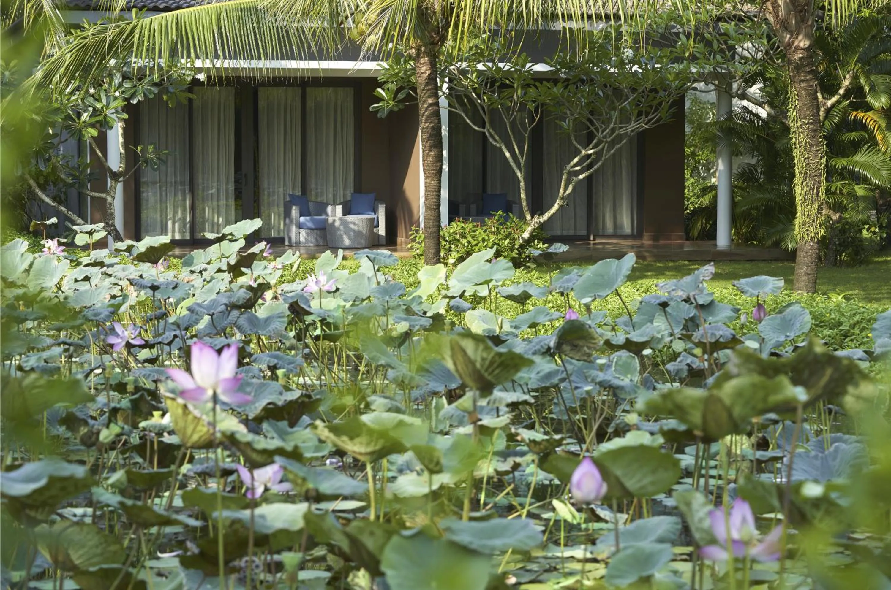 View (from property/room) in Novotel Phu Quoc Resort