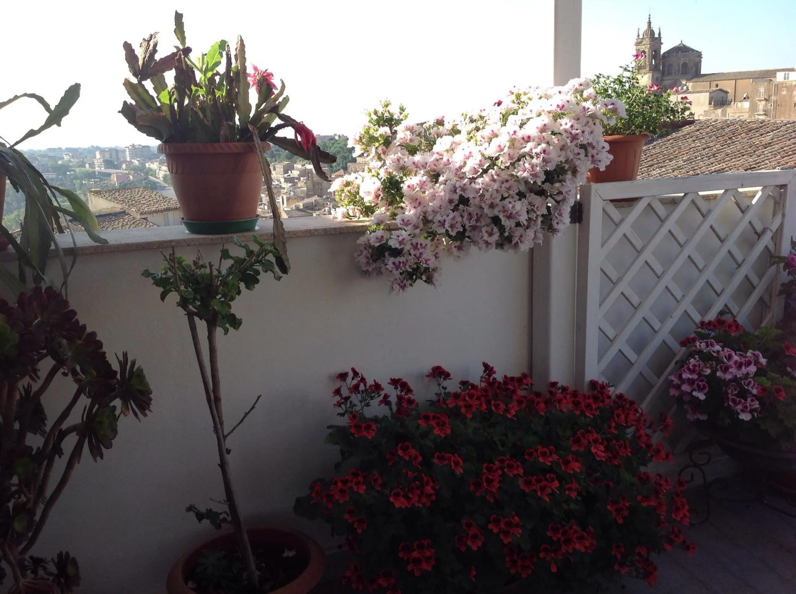 Solarium in Il Piccolo Attico