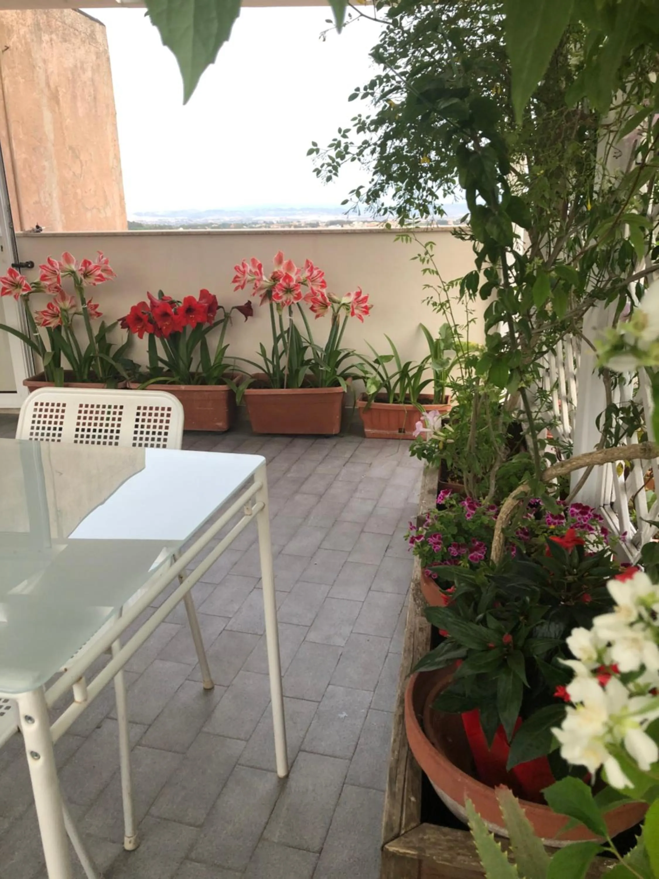 Patio in Il Piccolo Attico