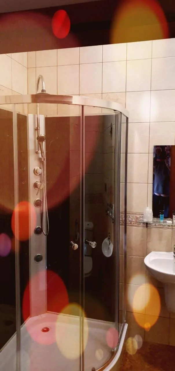 Single Room with Private Bathroom - single occupancy in Zajazd Forest