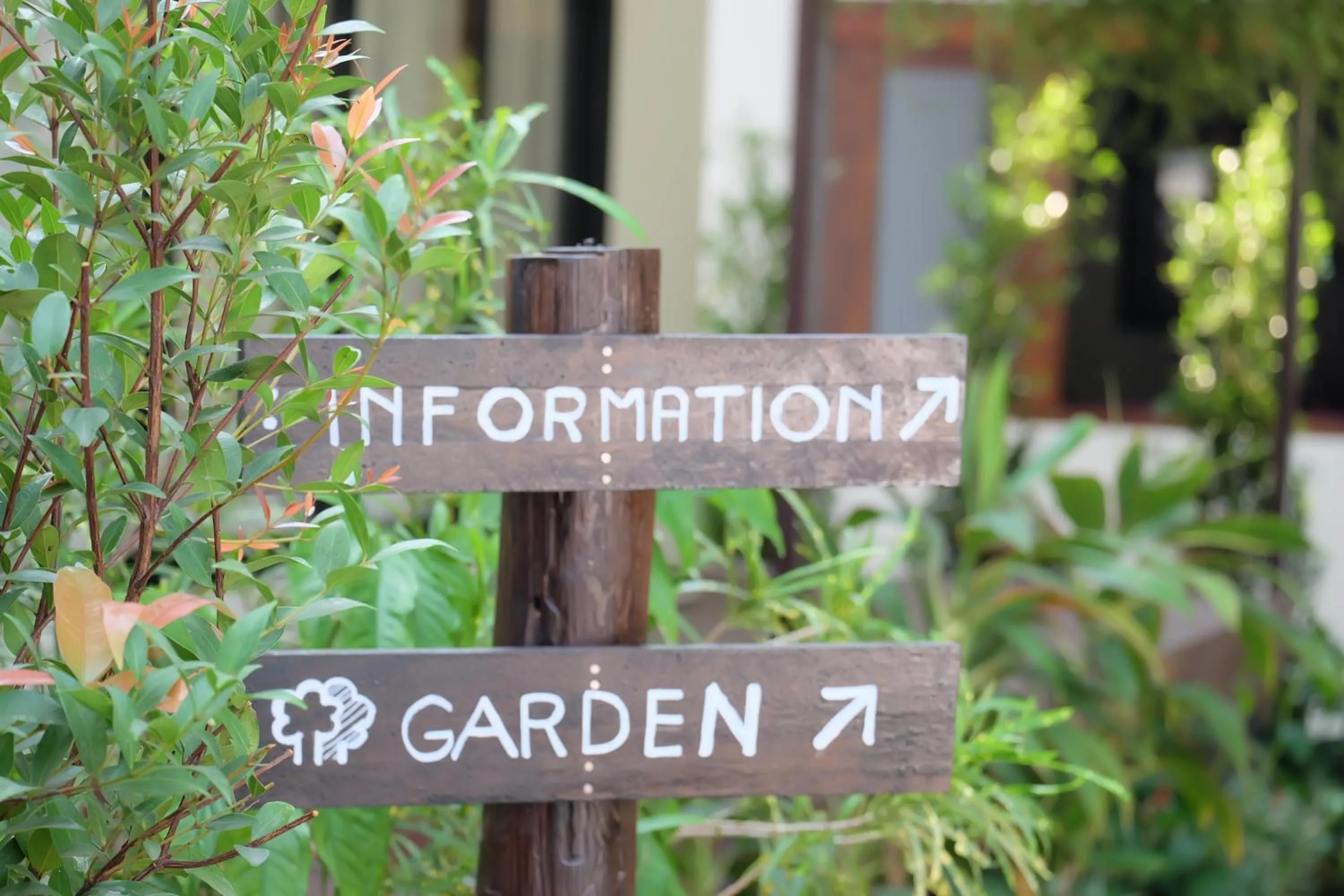 Garden in Kittawan Home&Gallery