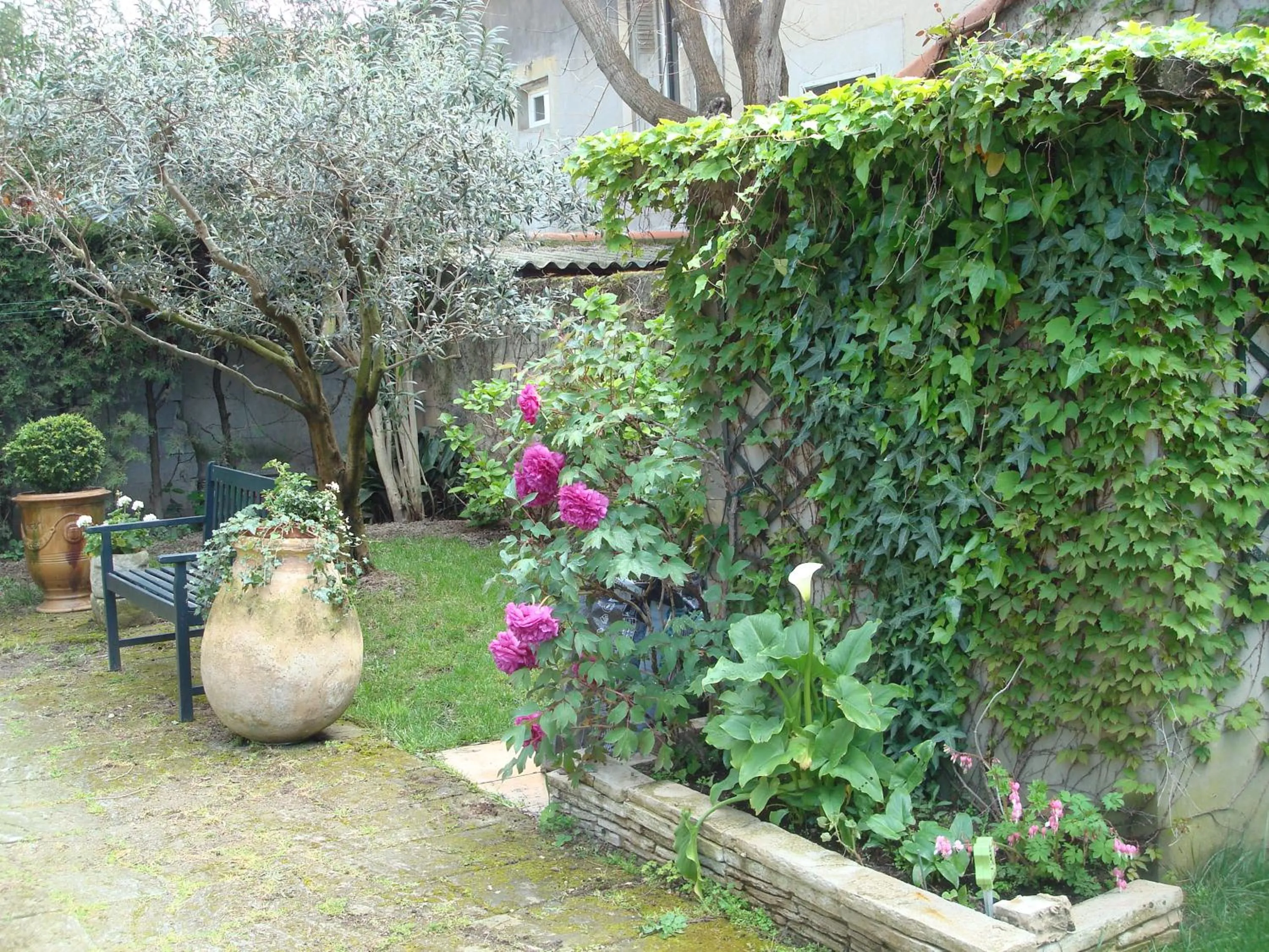 Garden in Arles les Alyscamps