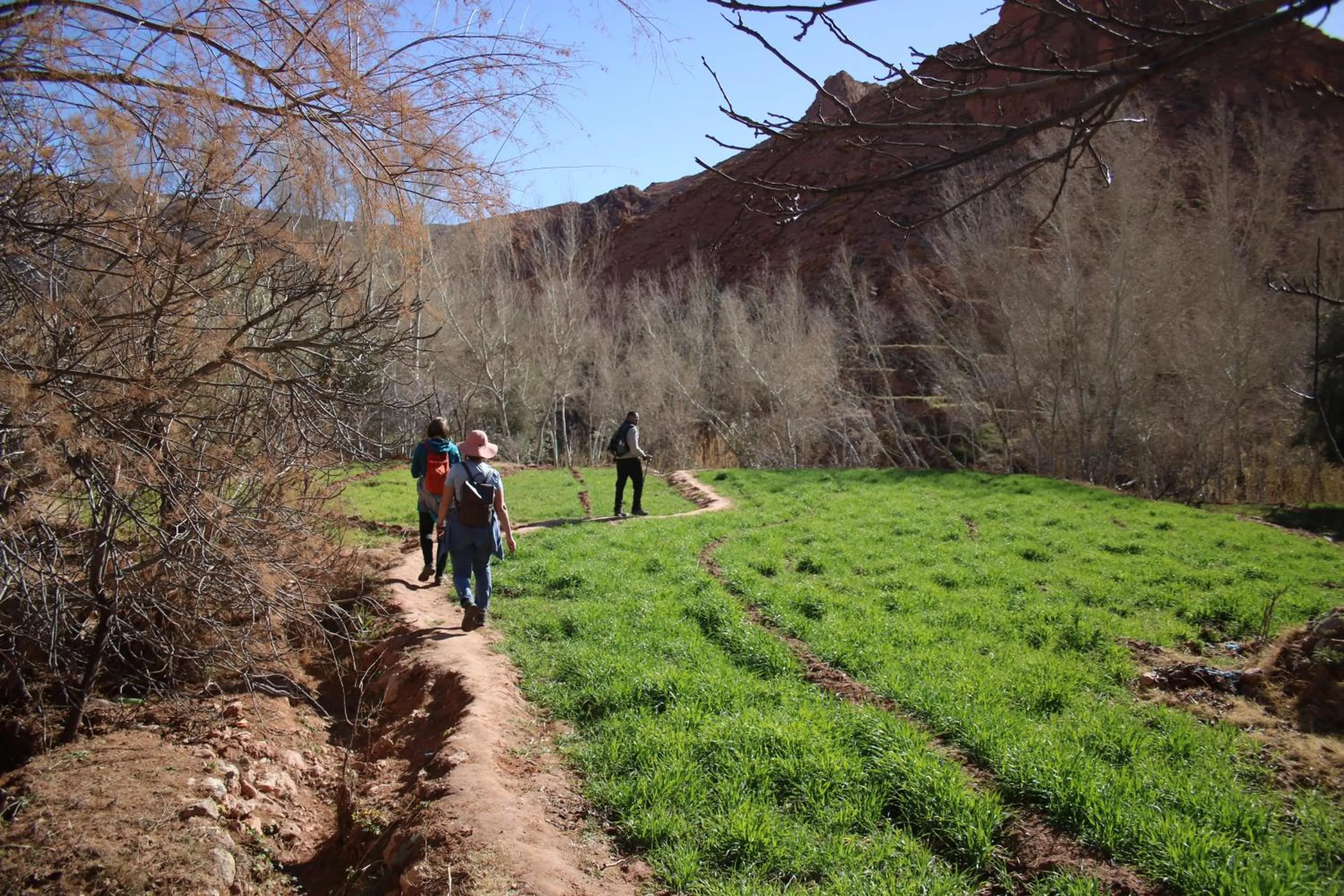 Natural landscape in Dar Jnan Tiouira Dades