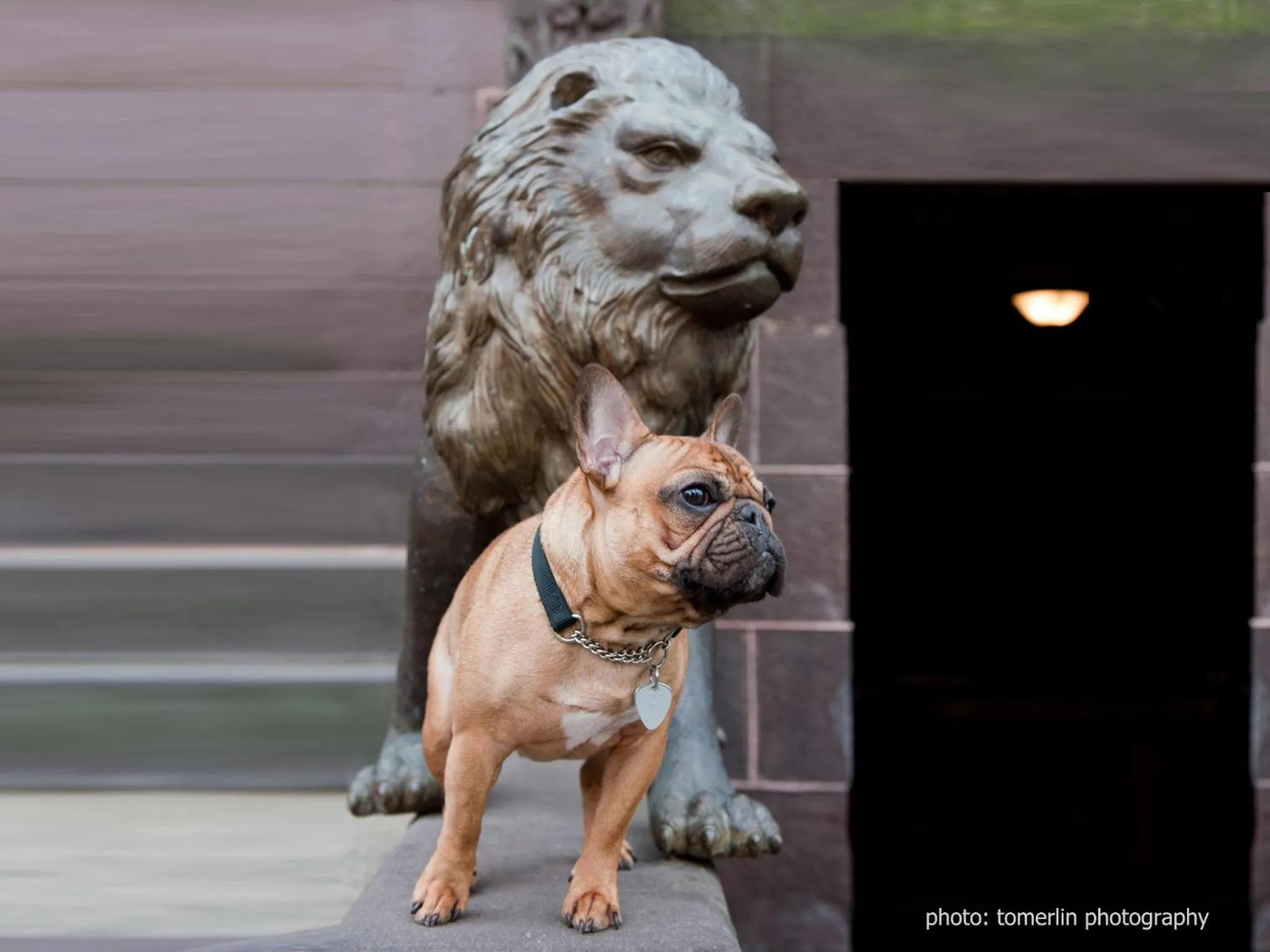 Facade/entrance in The Mansion on O Street
