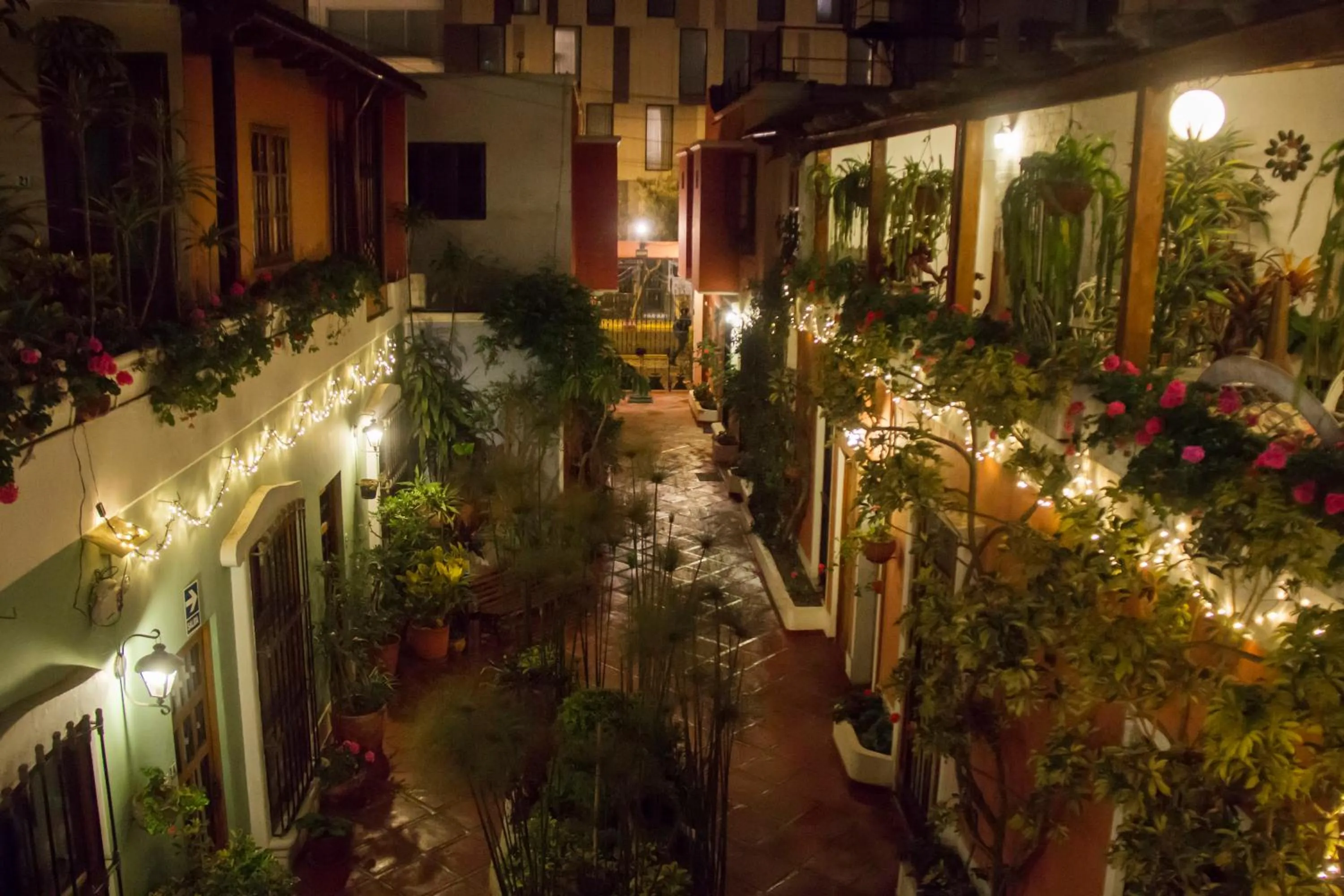 Night in El Patio Miraflores