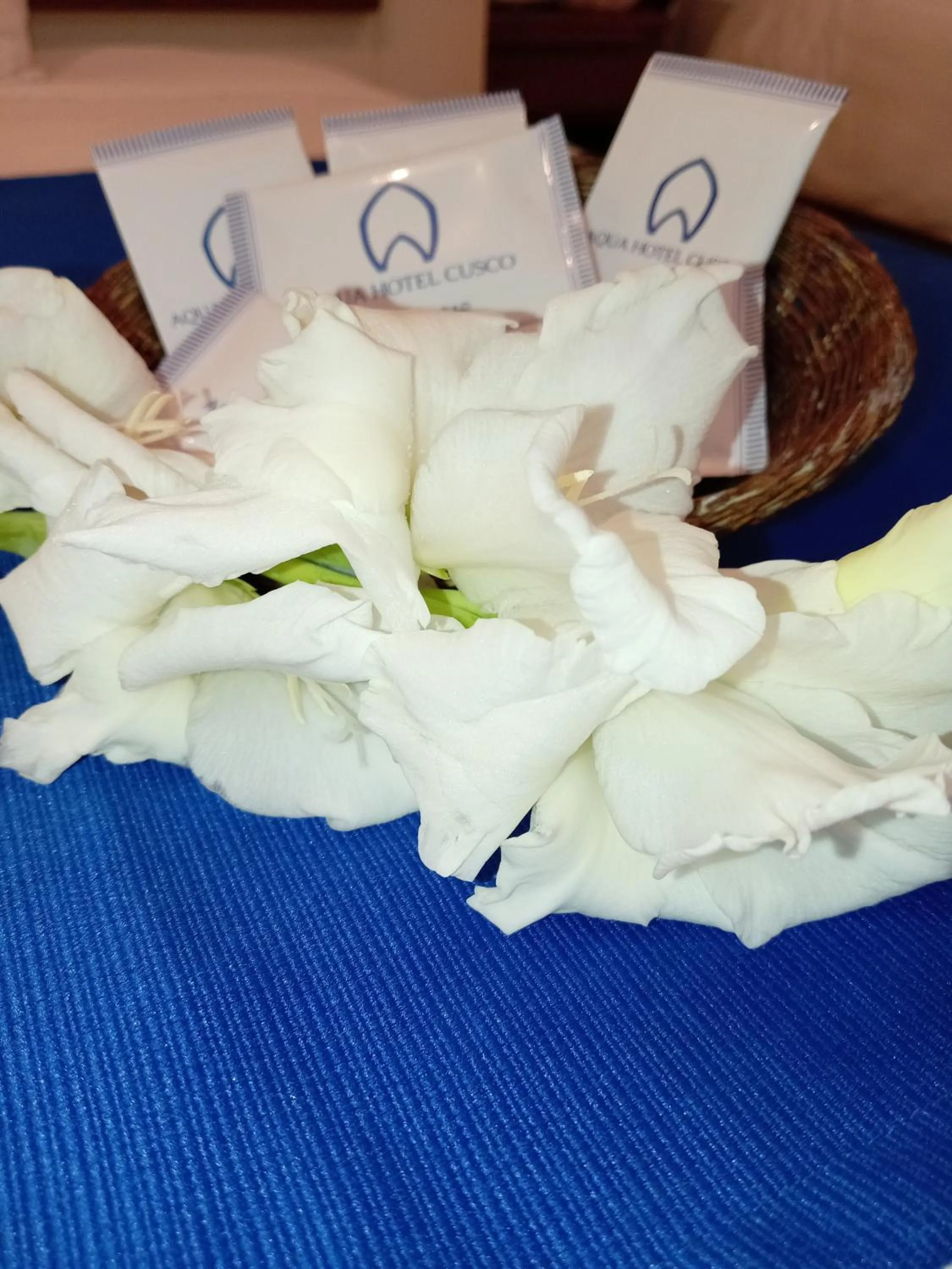 Bed in Aqua Hotel Cusco