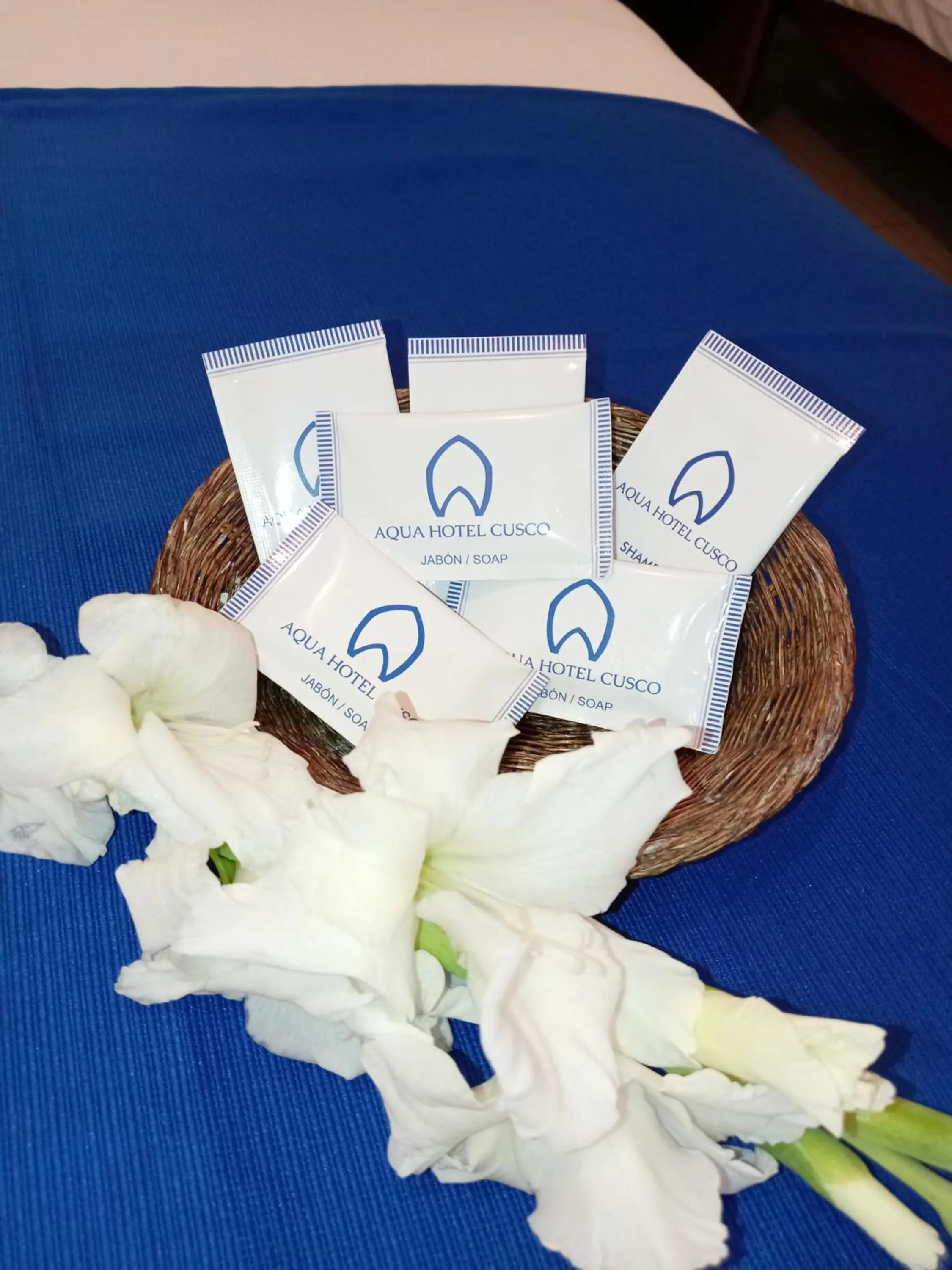 Aqua Hotel Cusco