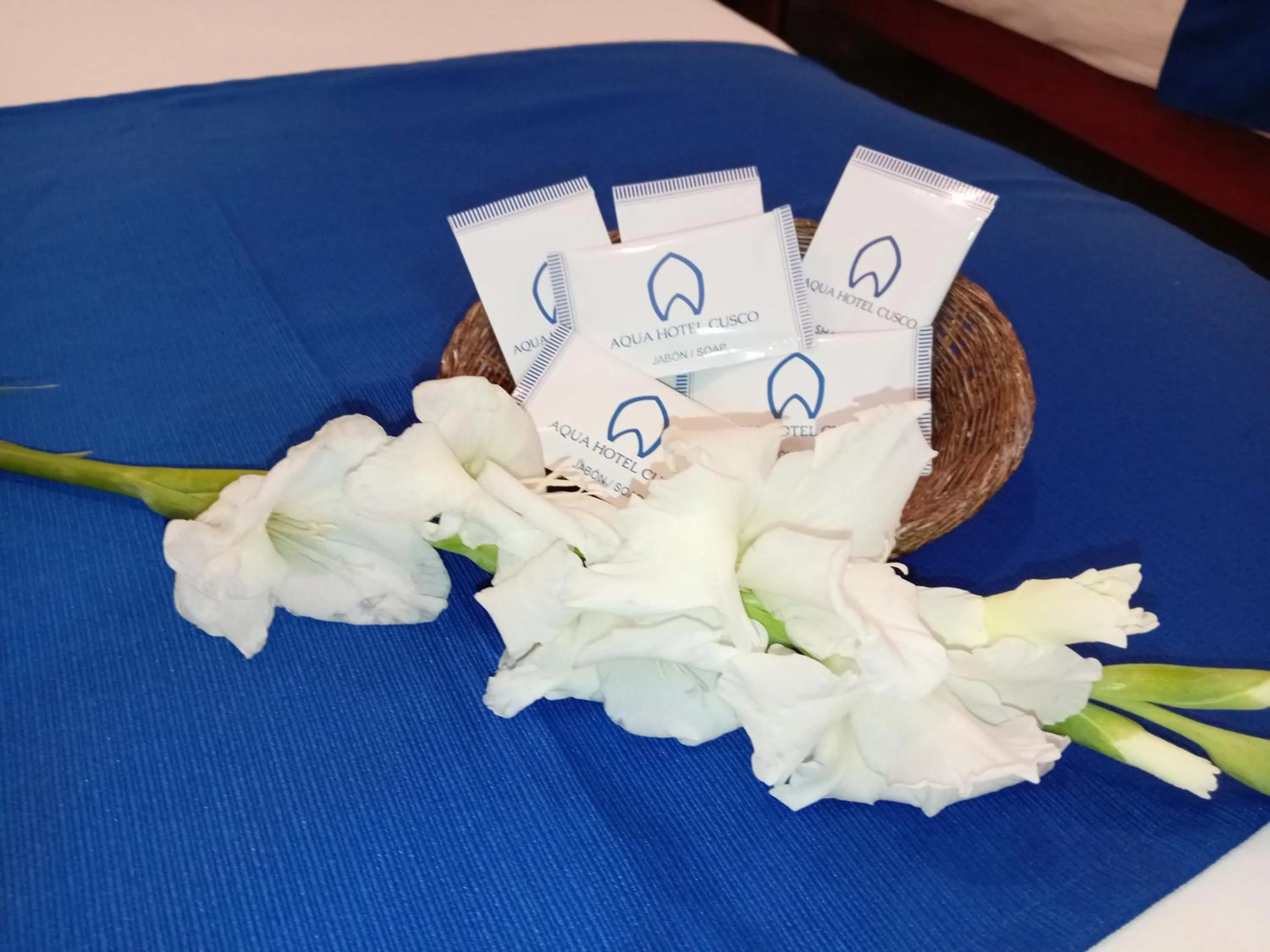 Aqua Hotel Cusco