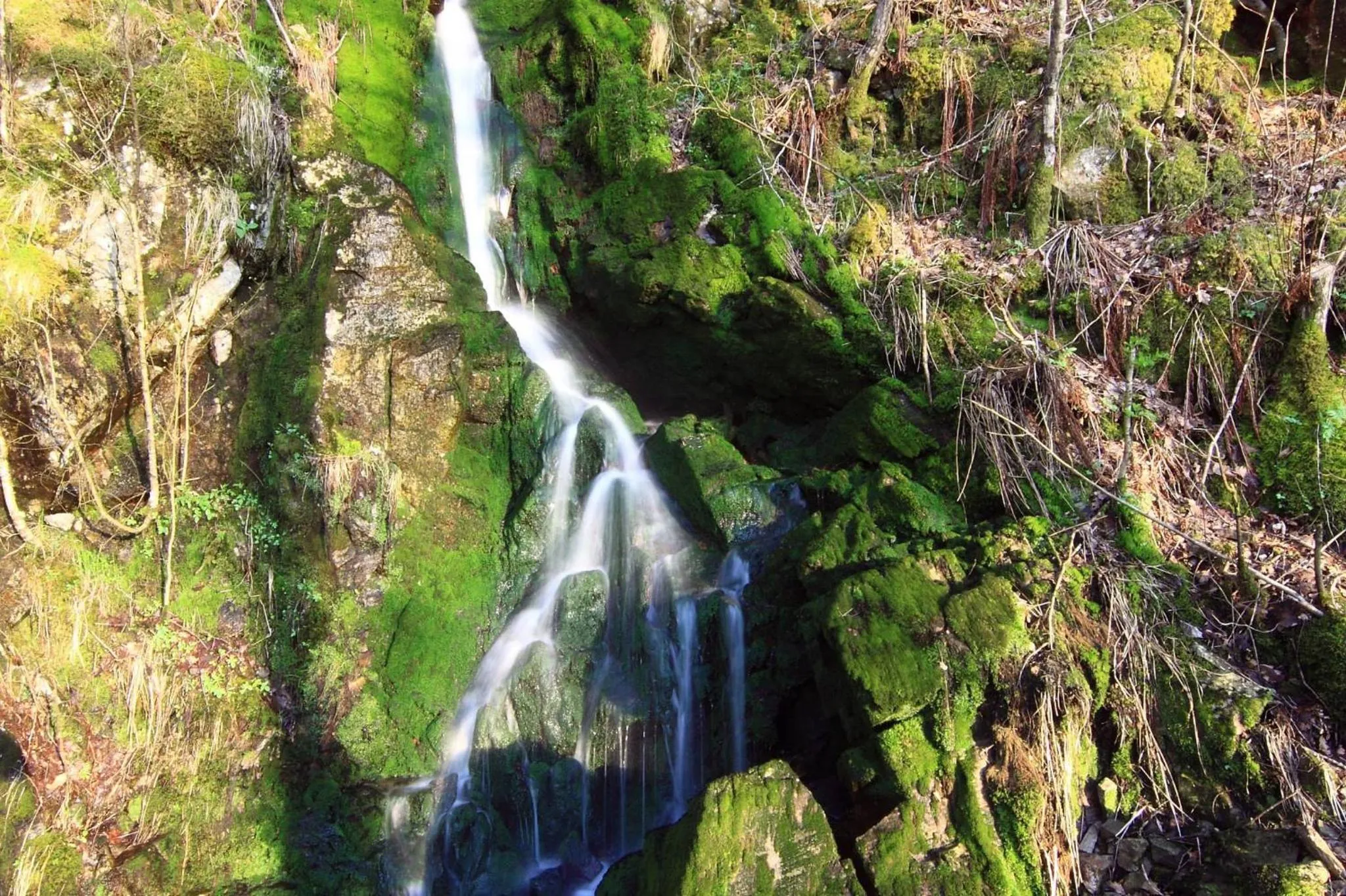 Other in Egenes Camping