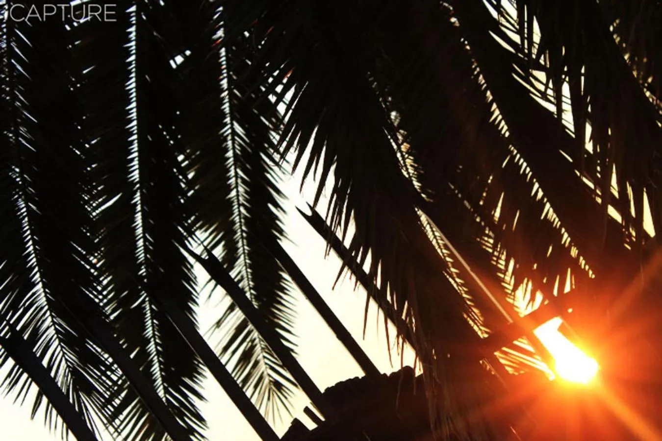 Property building in Vicky B Bed and Breakfast