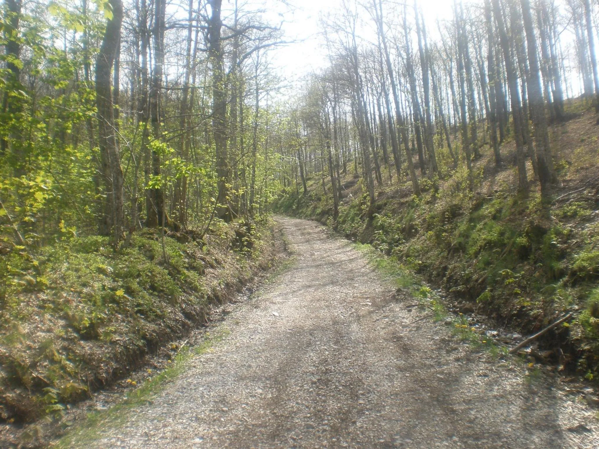 Natural landscape in Aparthotel Amelia Dream View
