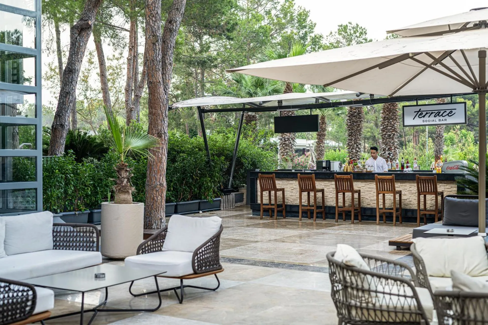 Lounge or bar in Balmy Foresta