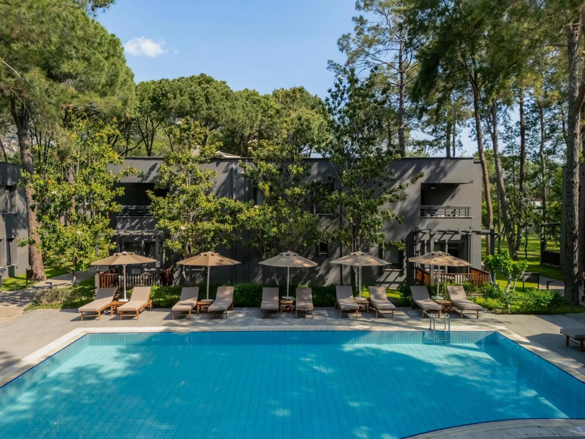 Property building in Balmy Foresta