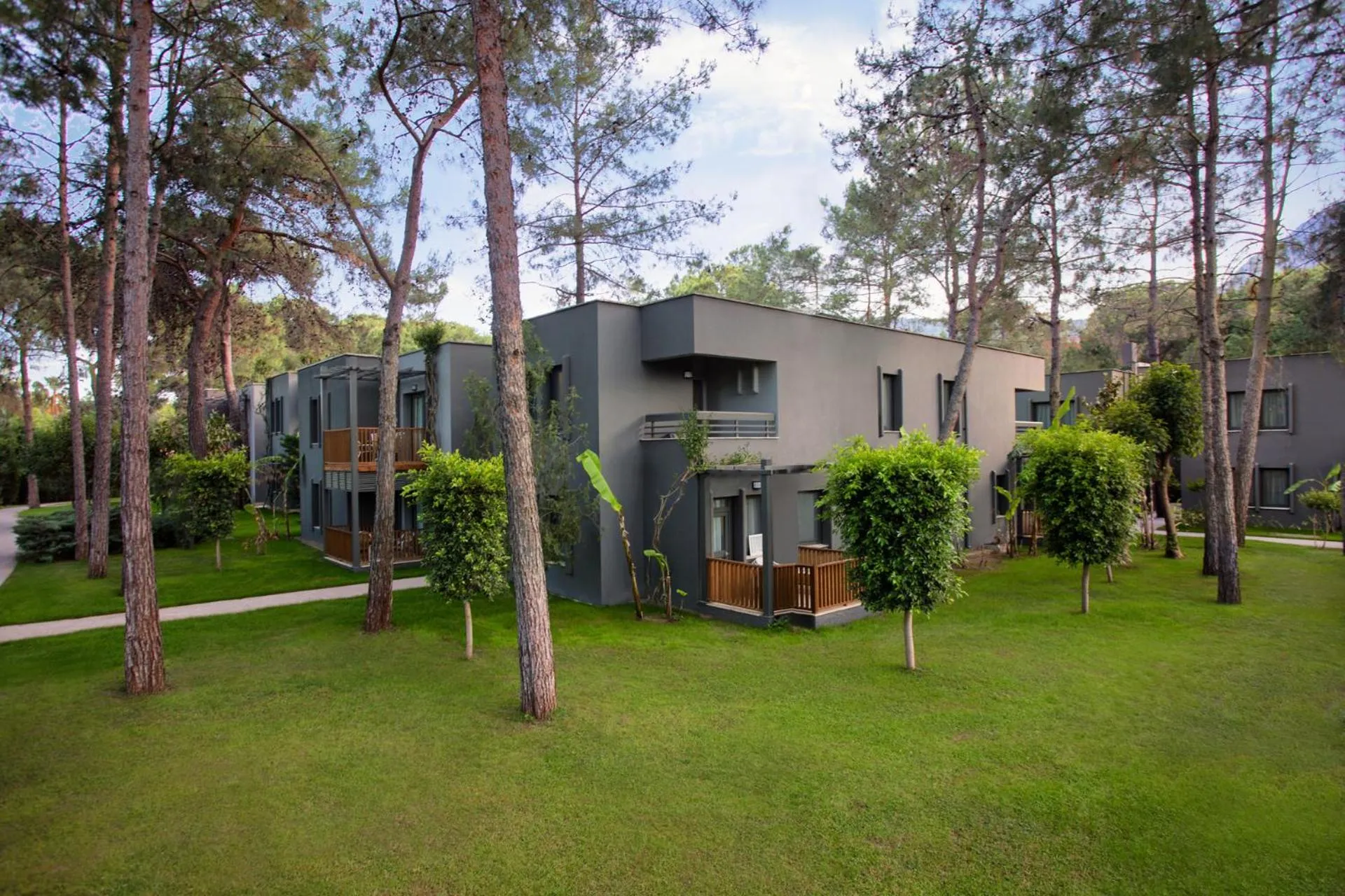 Natural landscape in Balmy Foresta