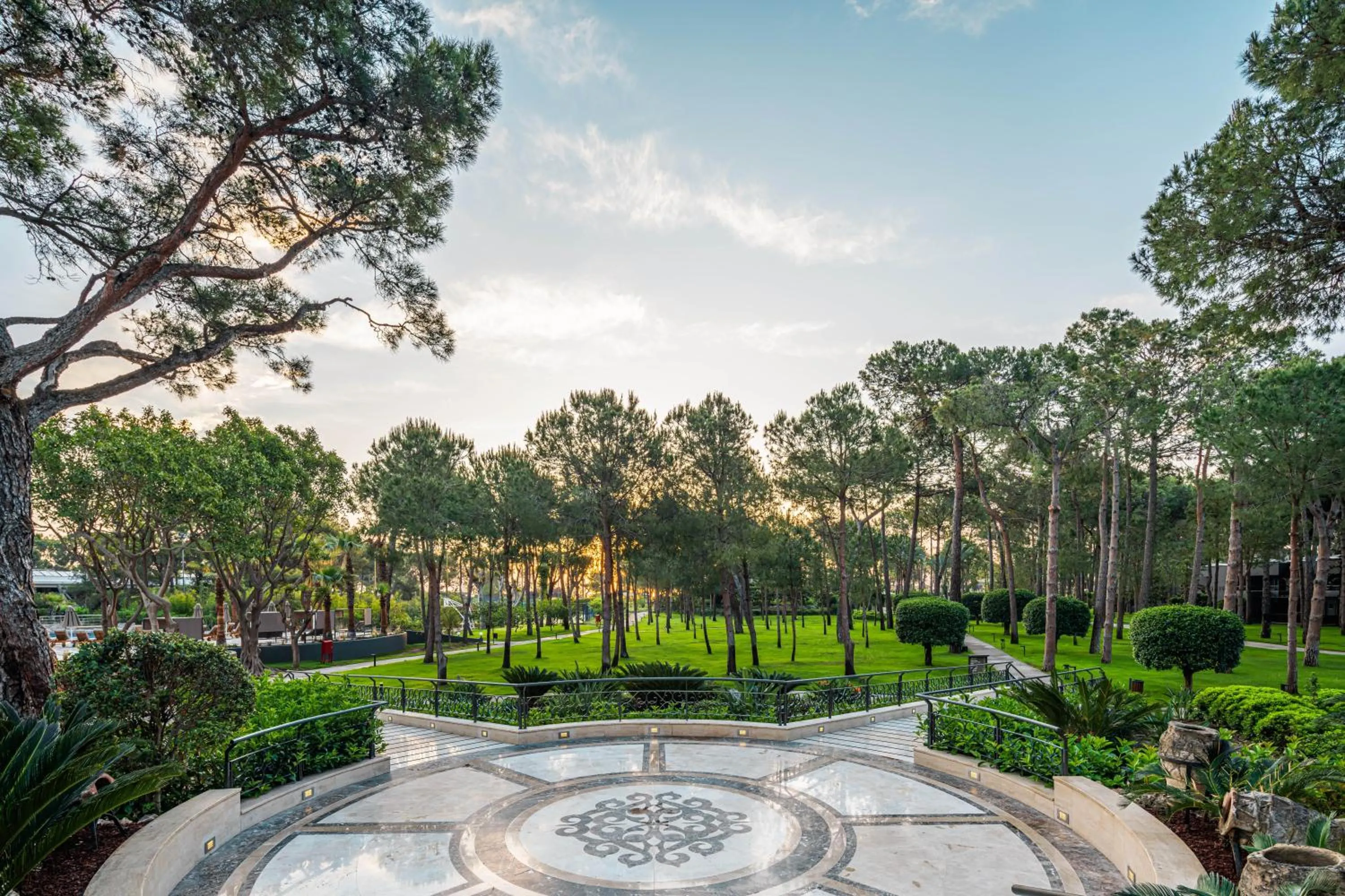 Spring in Balmy Foresta