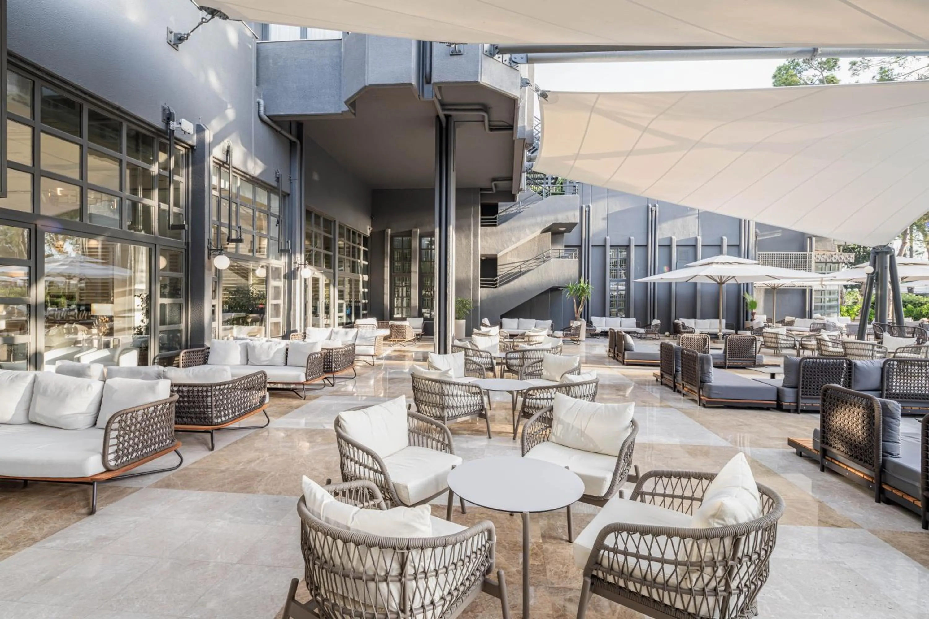 Lounge or bar in Balmy Foresta