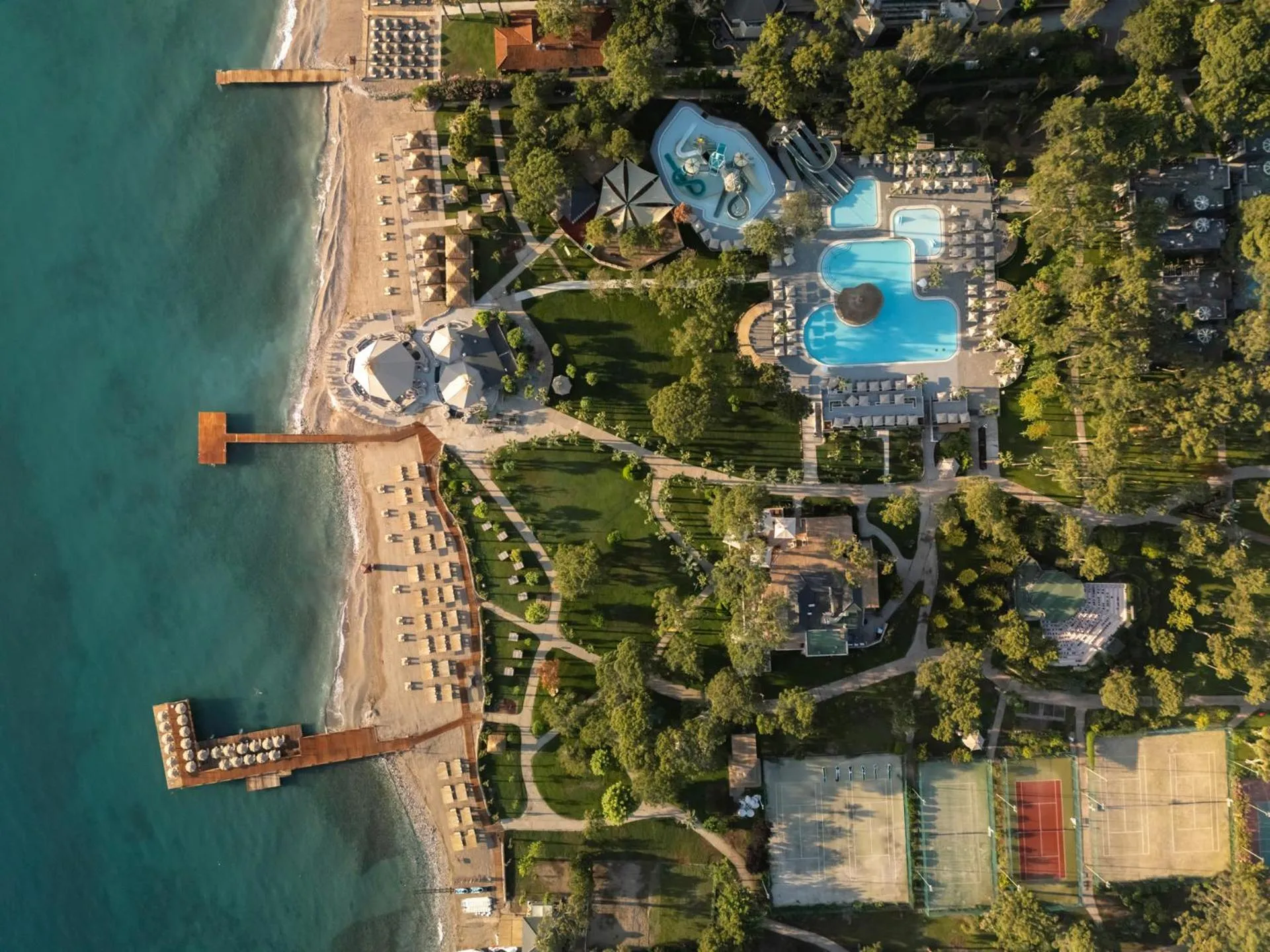 Day in Balmy Foresta