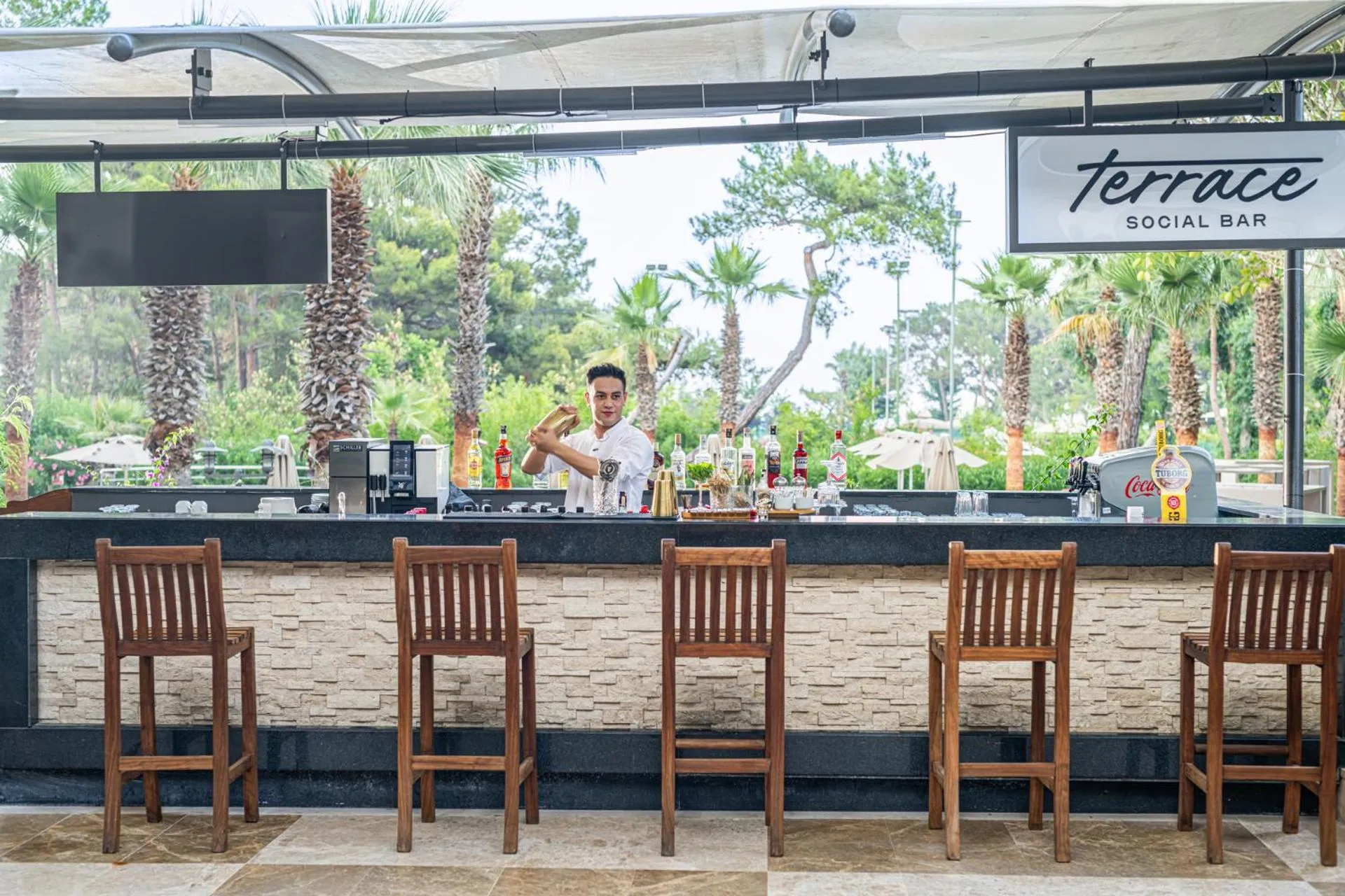 Lounge or bar in Balmy Foresta