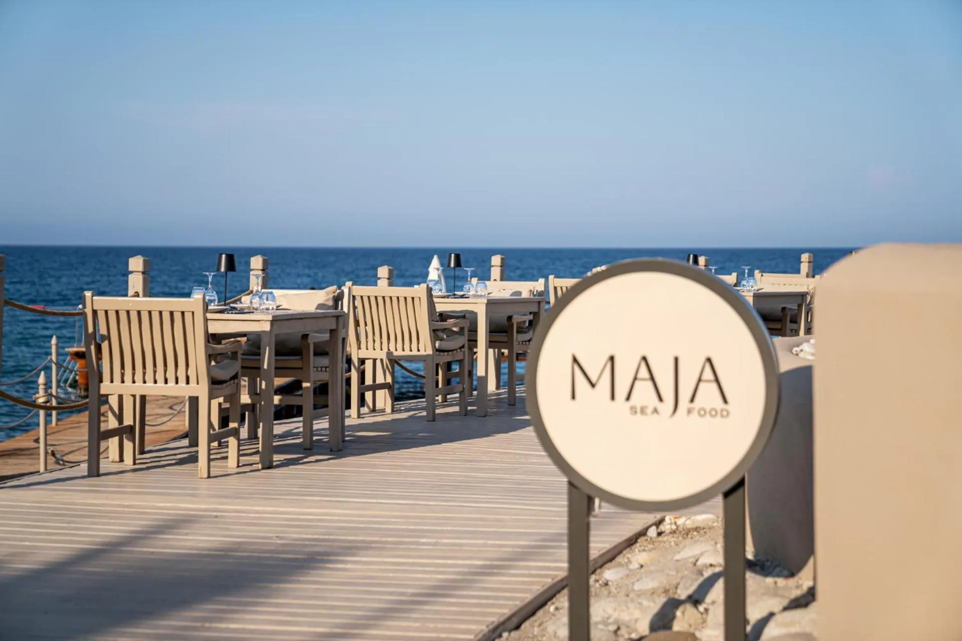 Beach in Balmy Foresta