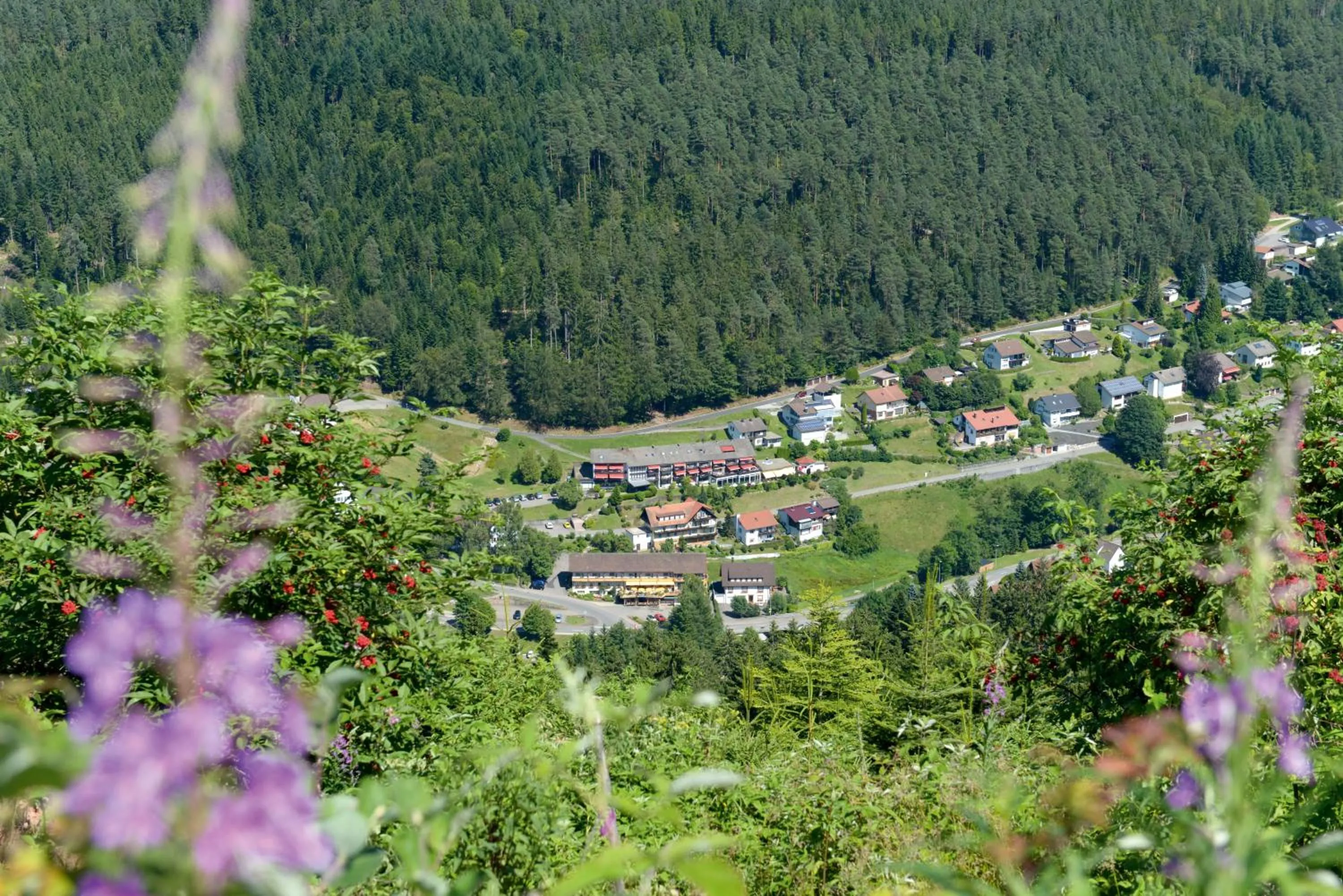 Bird's eye view in Hotel Waldlust