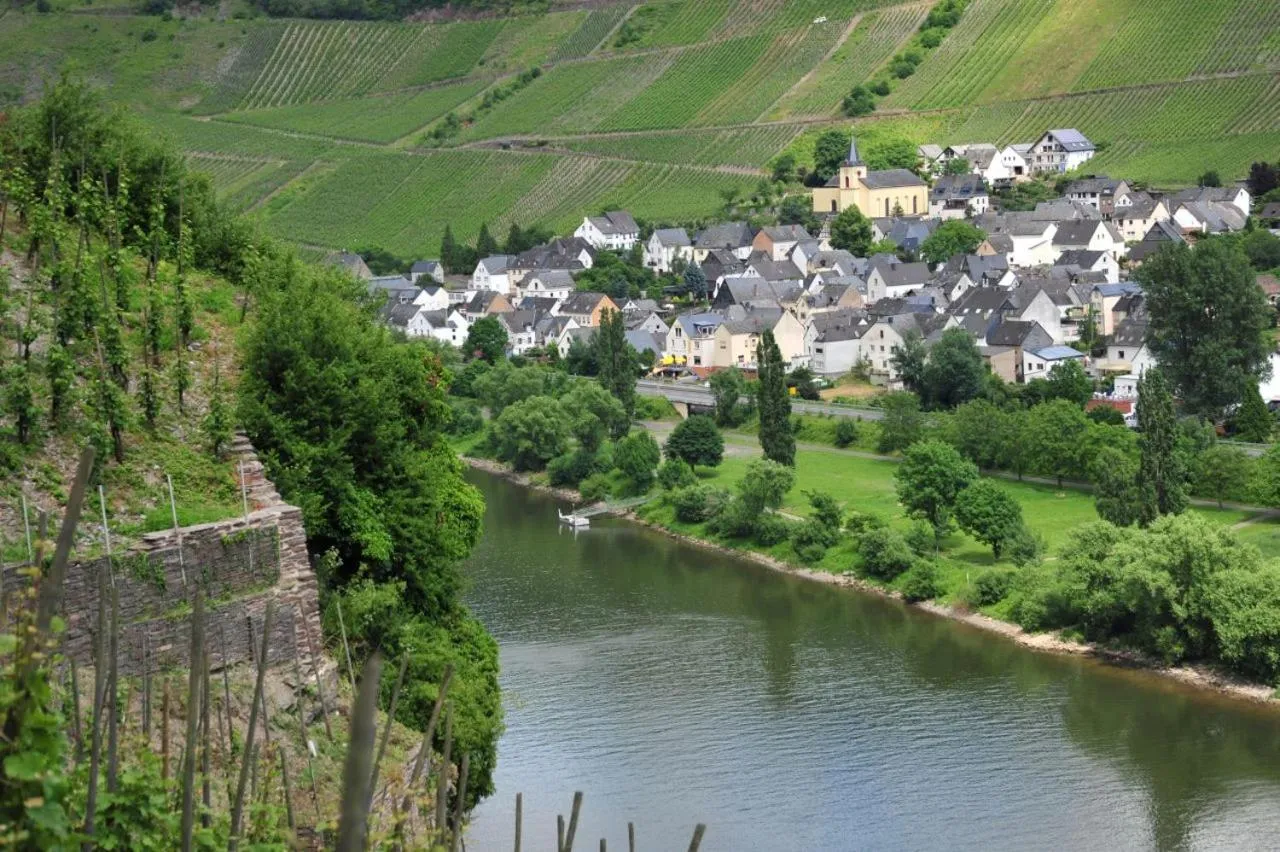 Natural landscape in Ferienwohnung Rivaner
