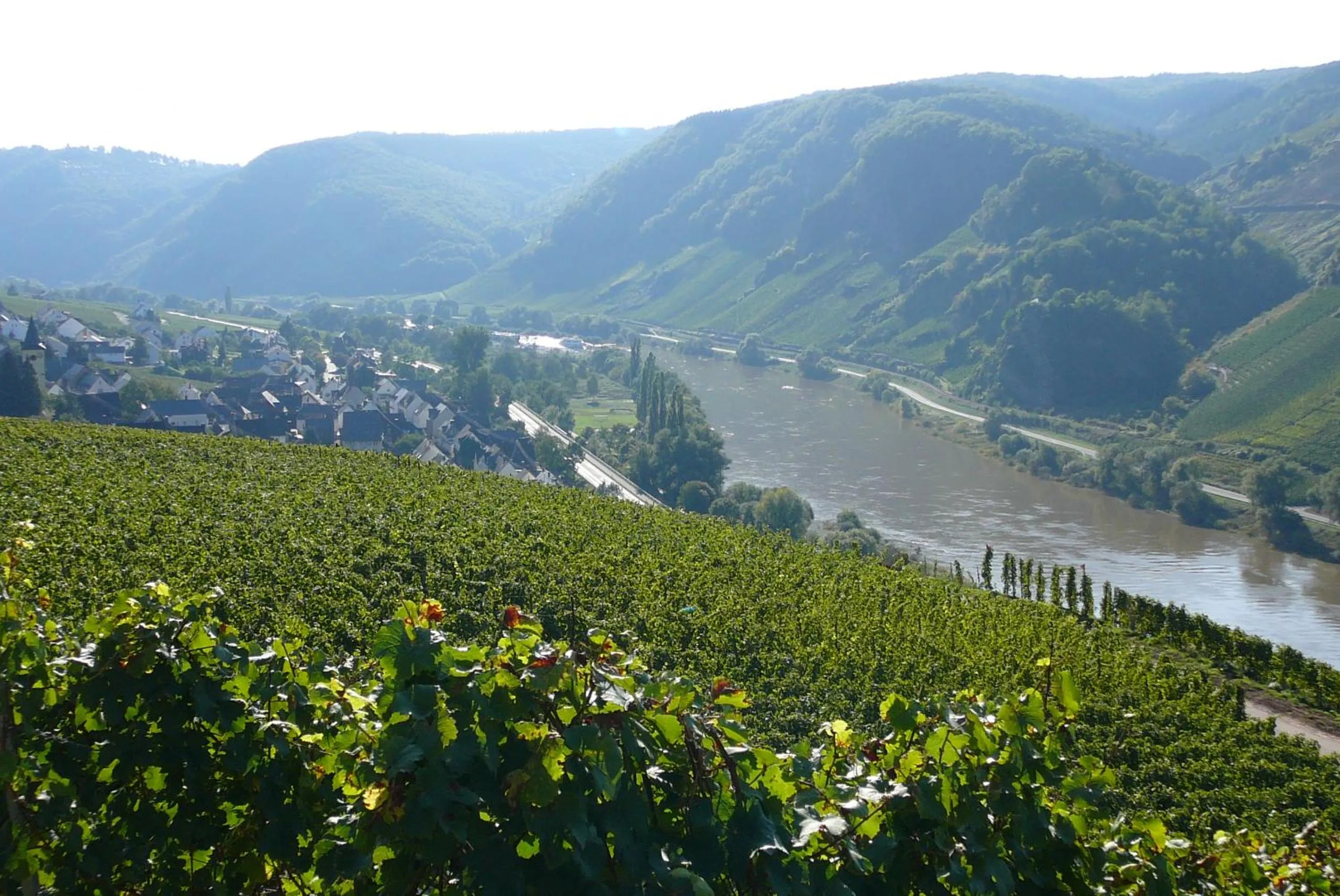 Natural landscape in Ferienwohnung Rivaner