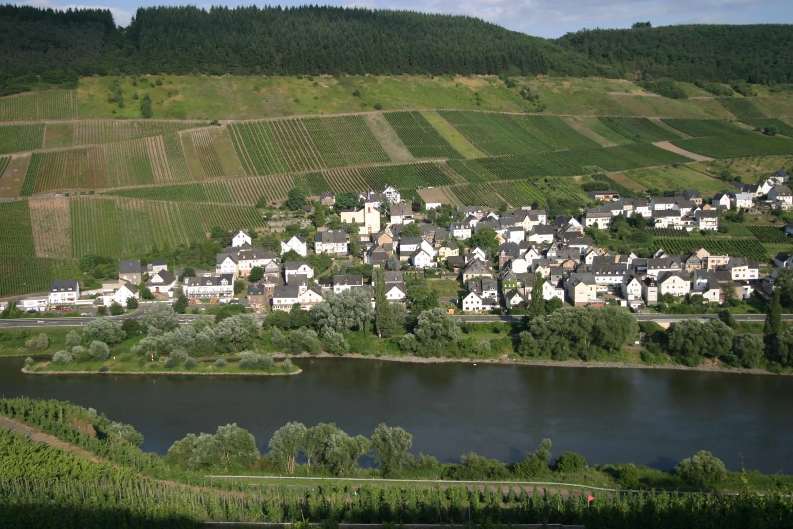 Activities in Ferienwohnung Rivaner