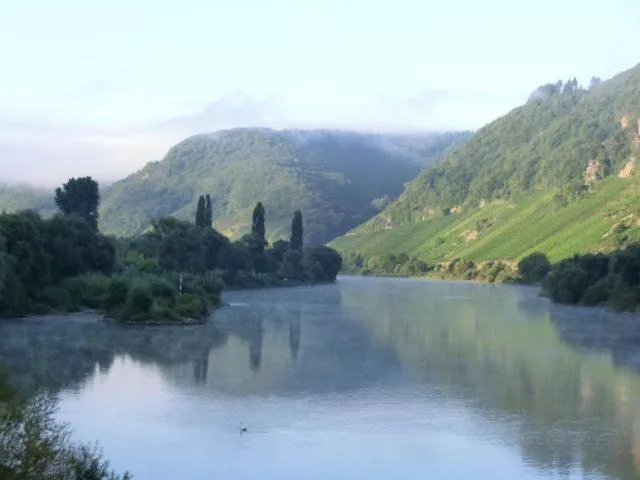 Natural landscape in Ferienwohnung Rivaner