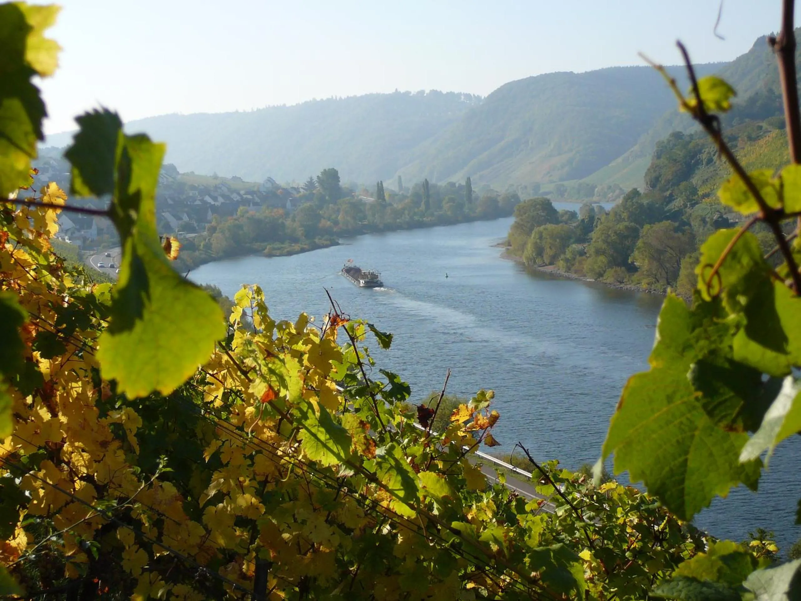 Natural landscape in Ferienwohnung Rivaner