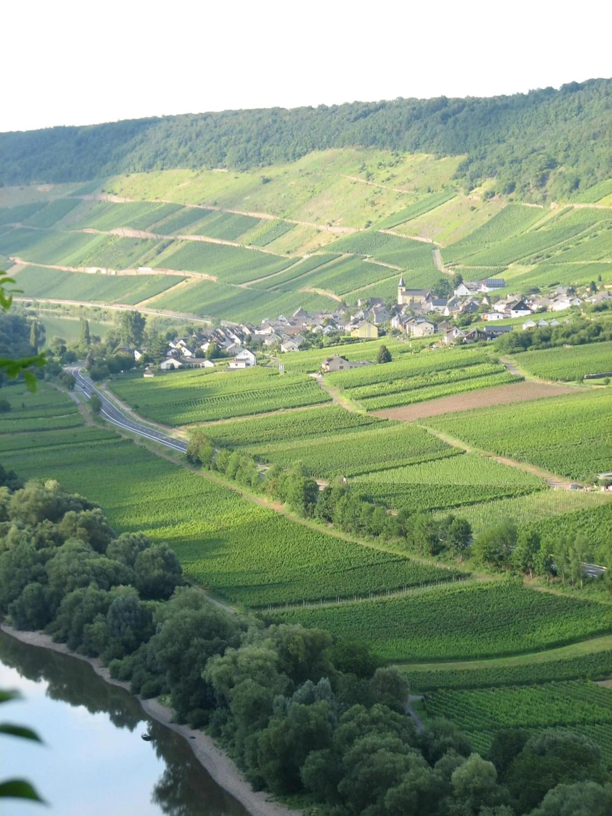 Natural landscape in Ferienwohnung Rivaner