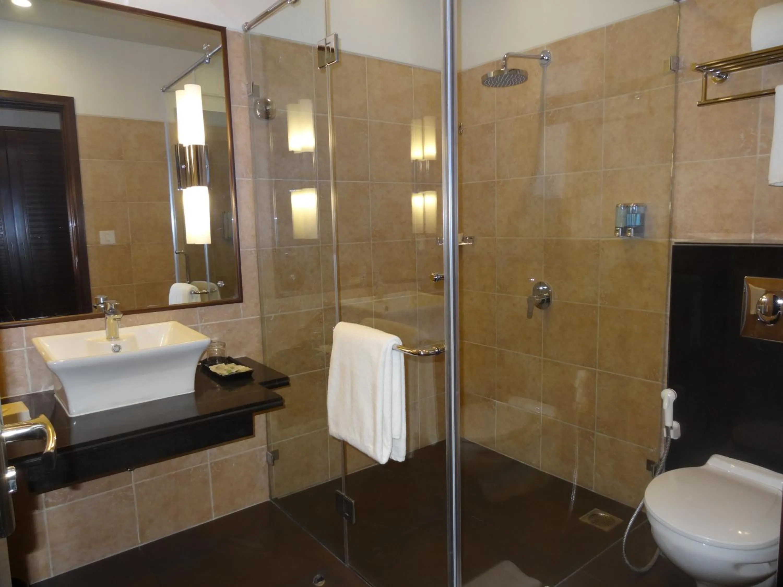 Bathroom in Regenta Central Hestia Dahej, Bhensali