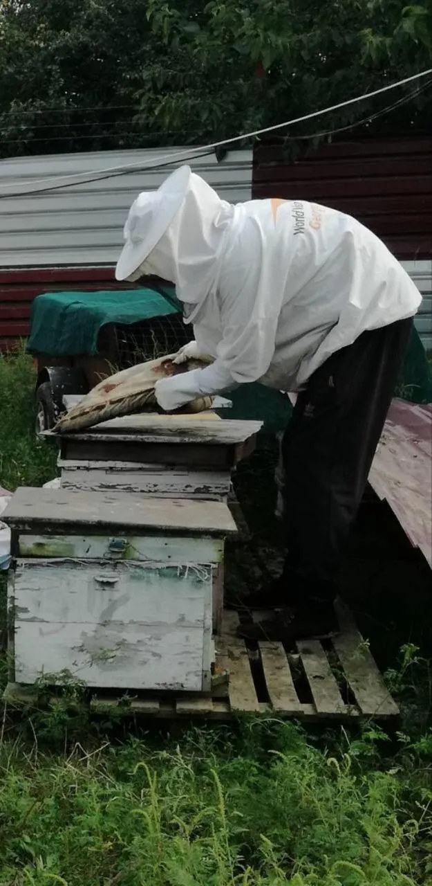 Paradise Investment Resort