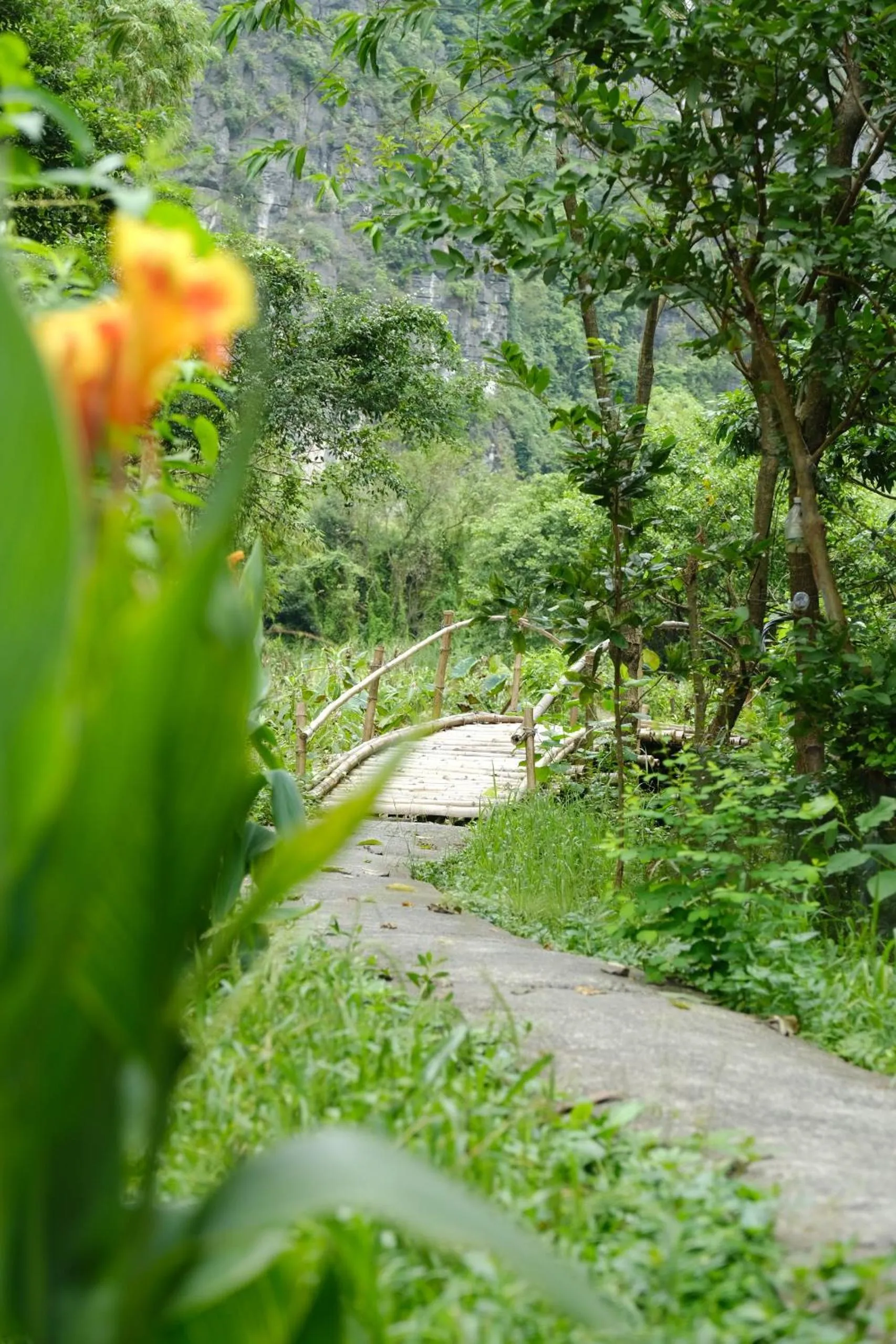 Natural landscape in Chez Beo Homestay