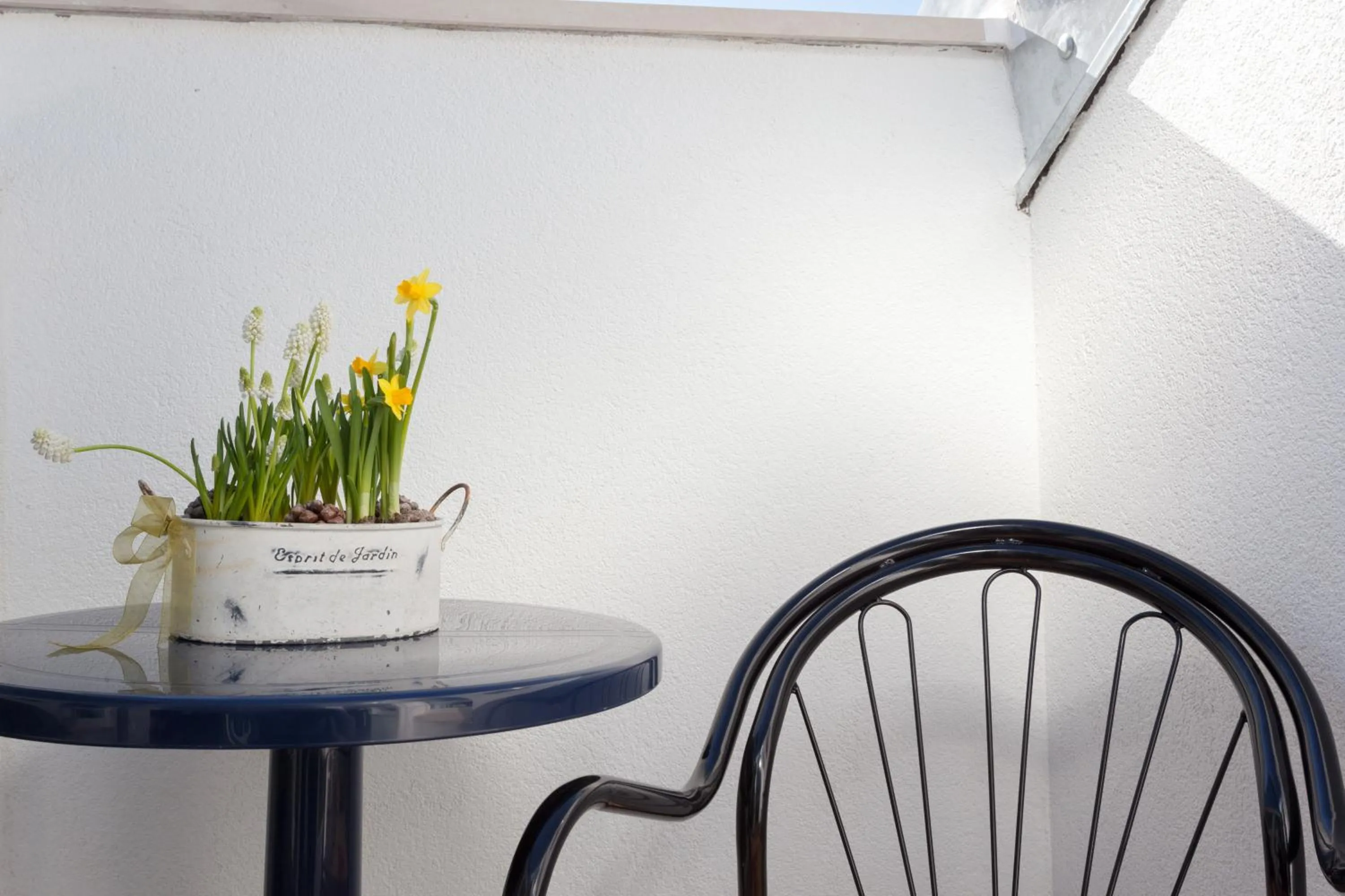 Balcony/Terrace in Apartment Mistral 51