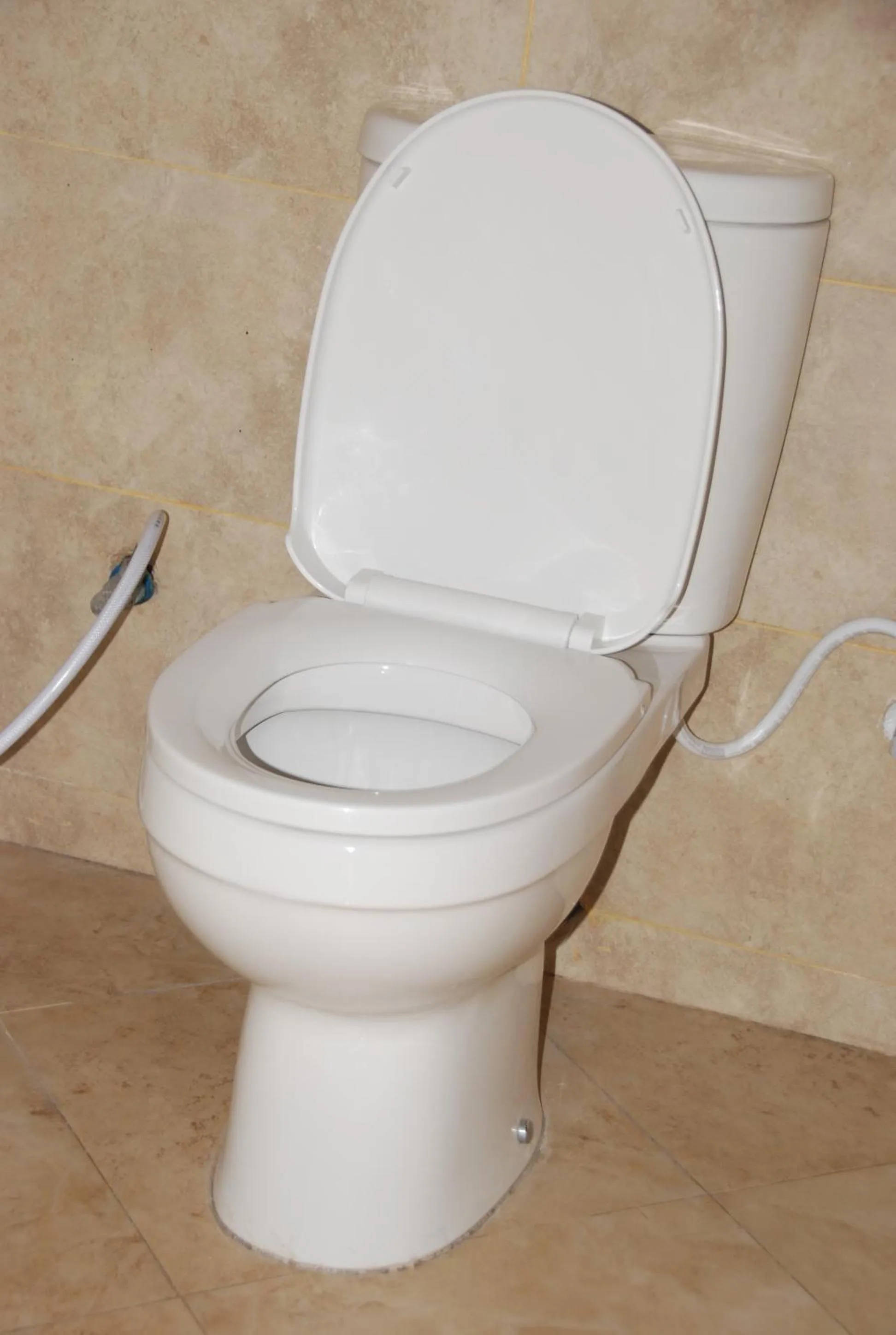 Toilet in Silver Paradise Hotel