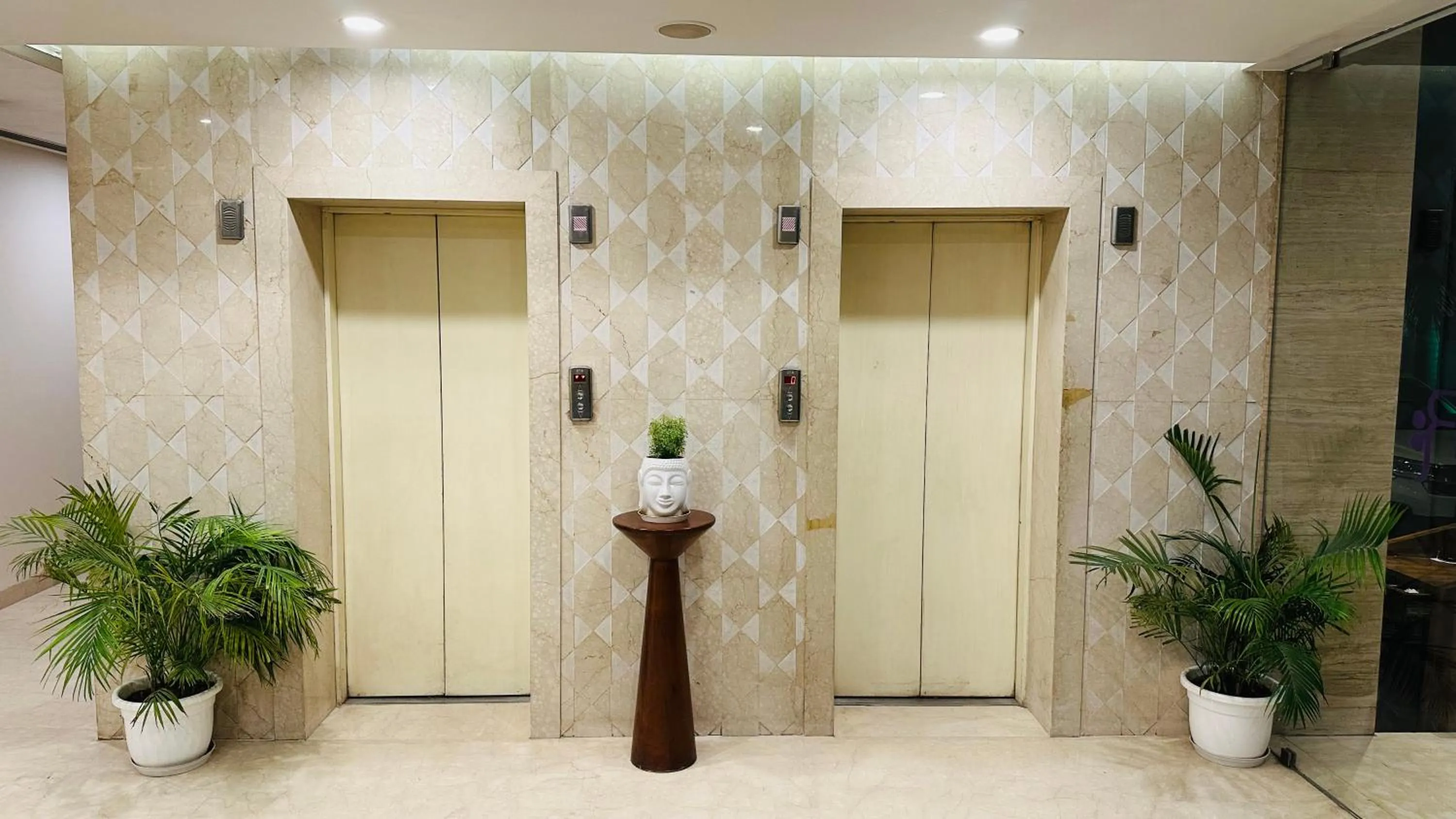 elevator in Regenta Central Jaipur