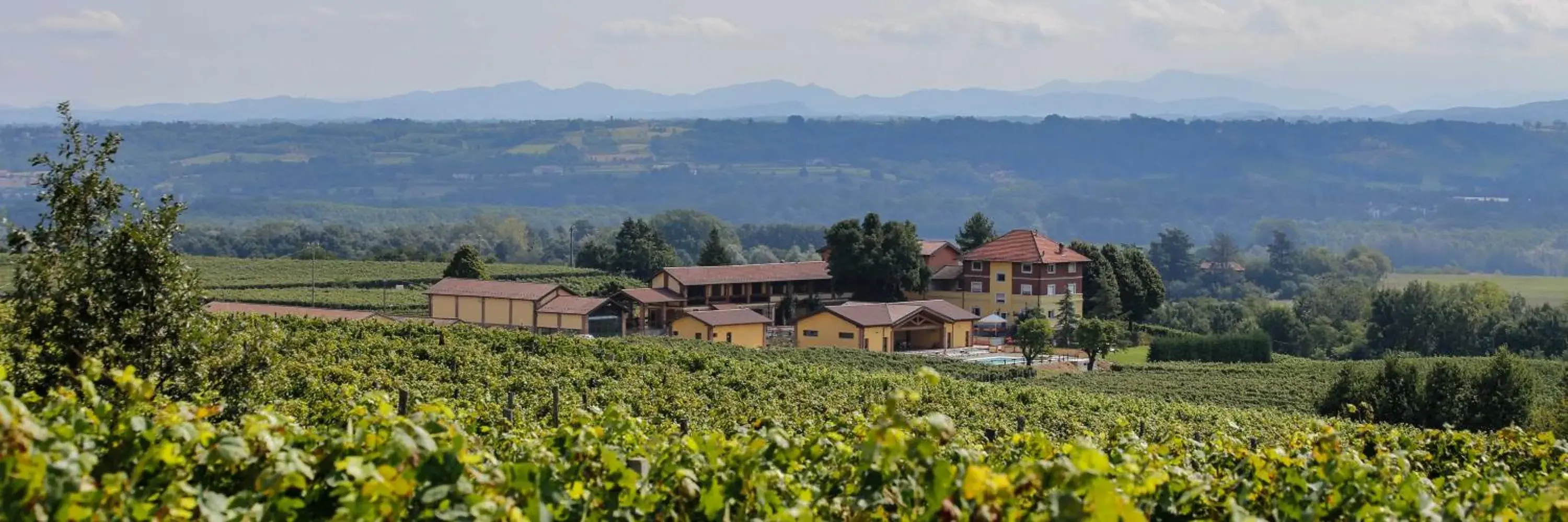 Tenuta Montebello Tenuta Montebello