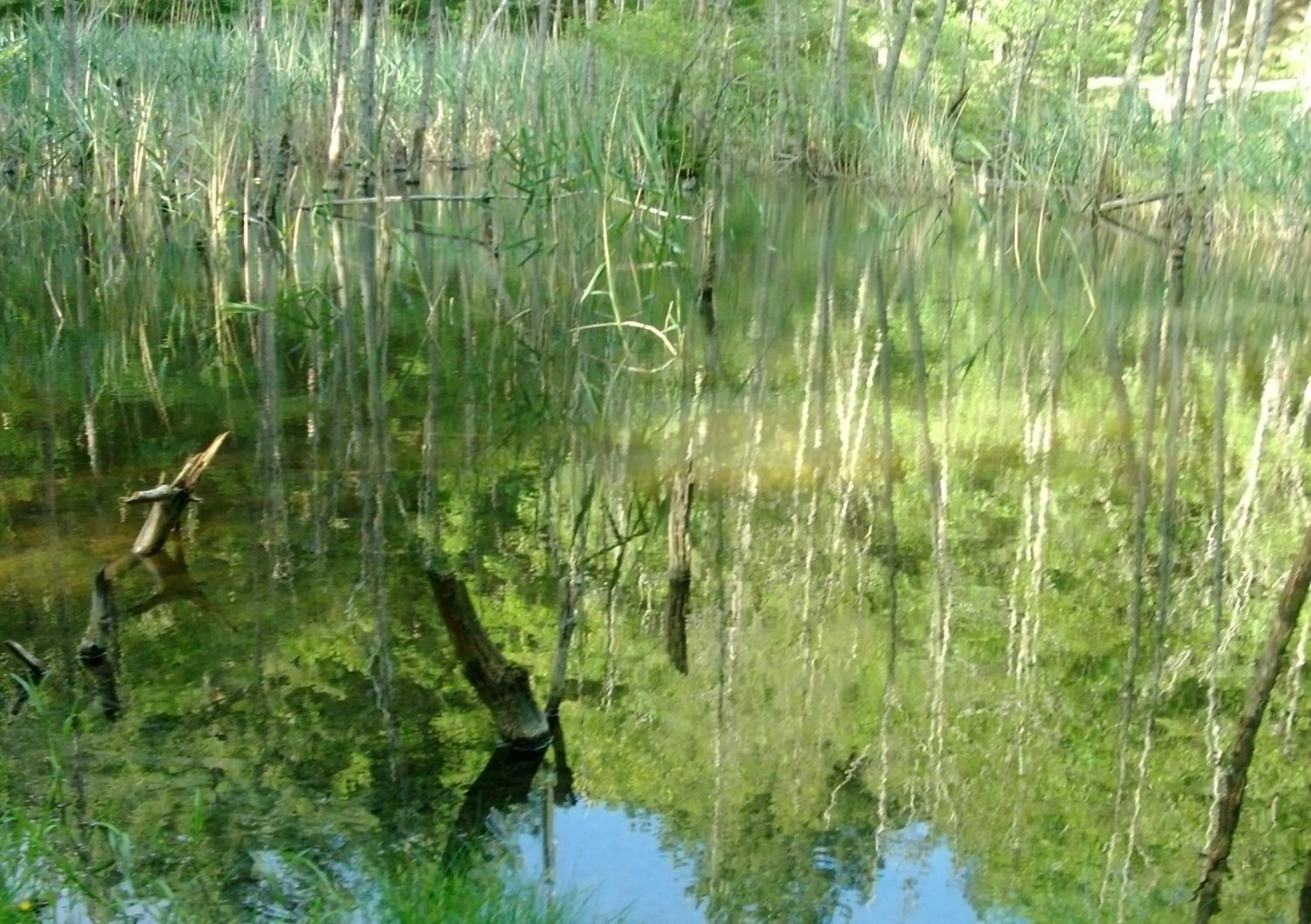 Natural landscape in B&B Borgo Valagnesi casa Annarita