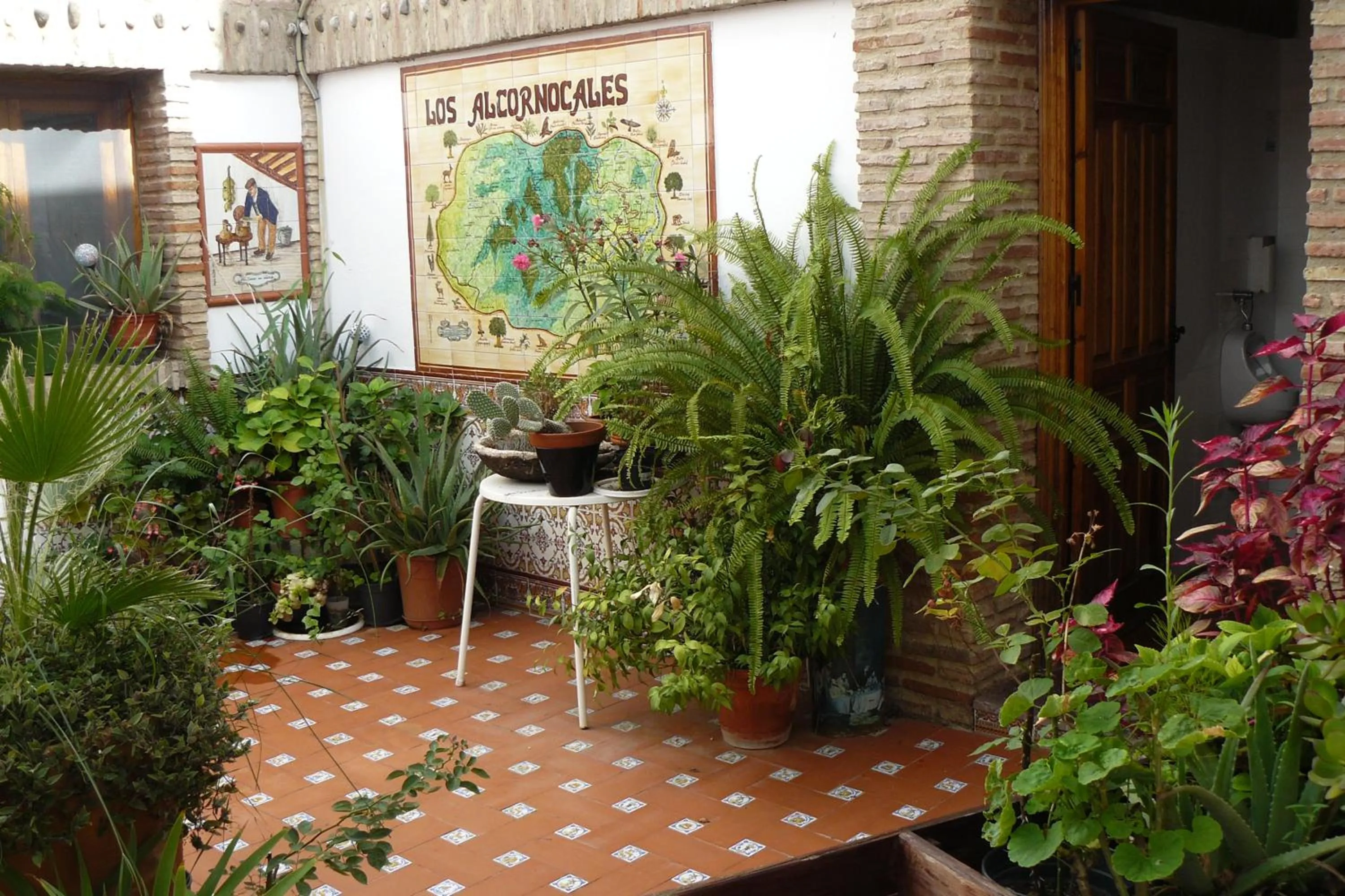 Patio in Hotel Restaurante Las Buitreras