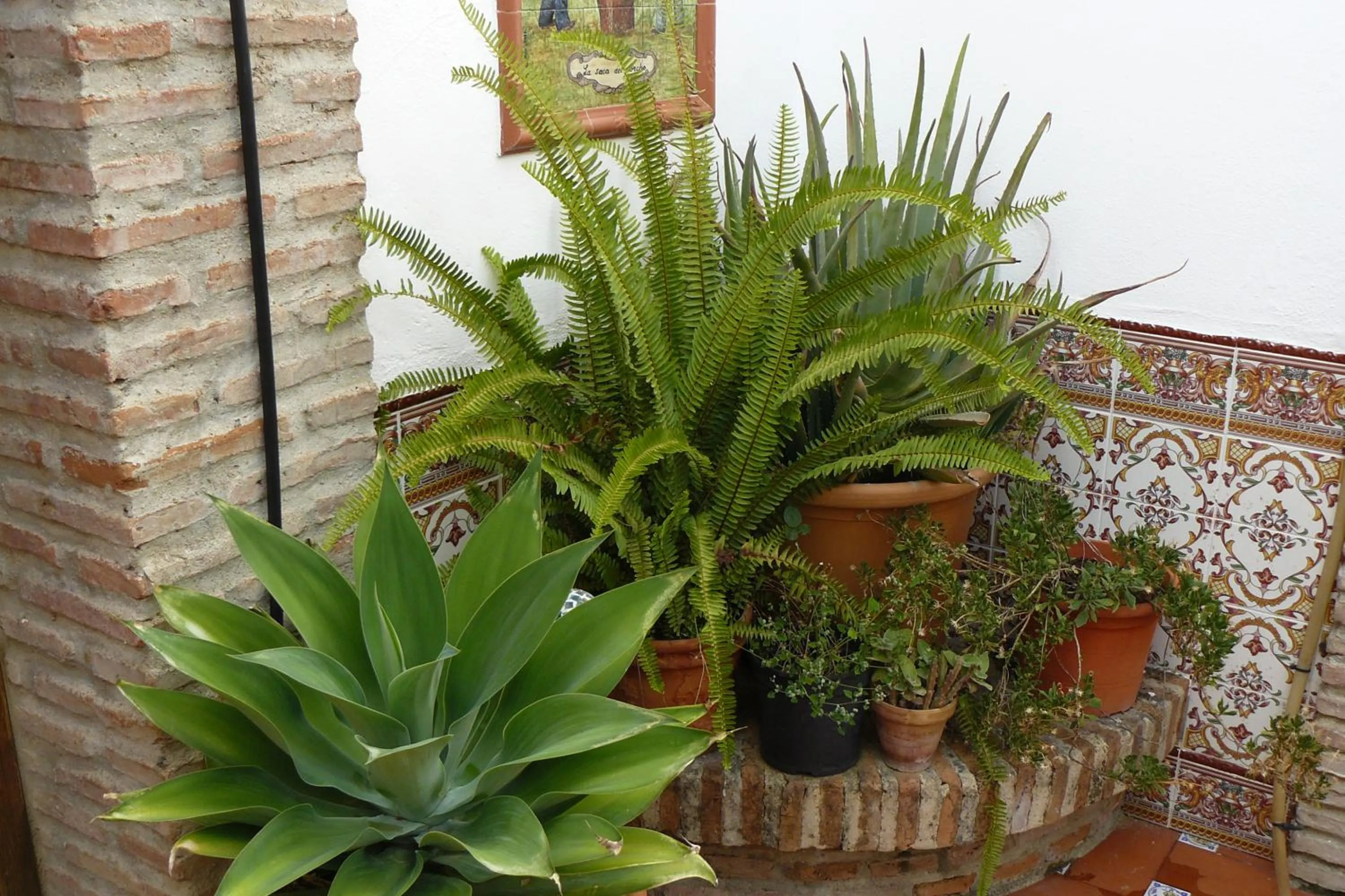 Patio in Hotel Restaurante Las Buitreras