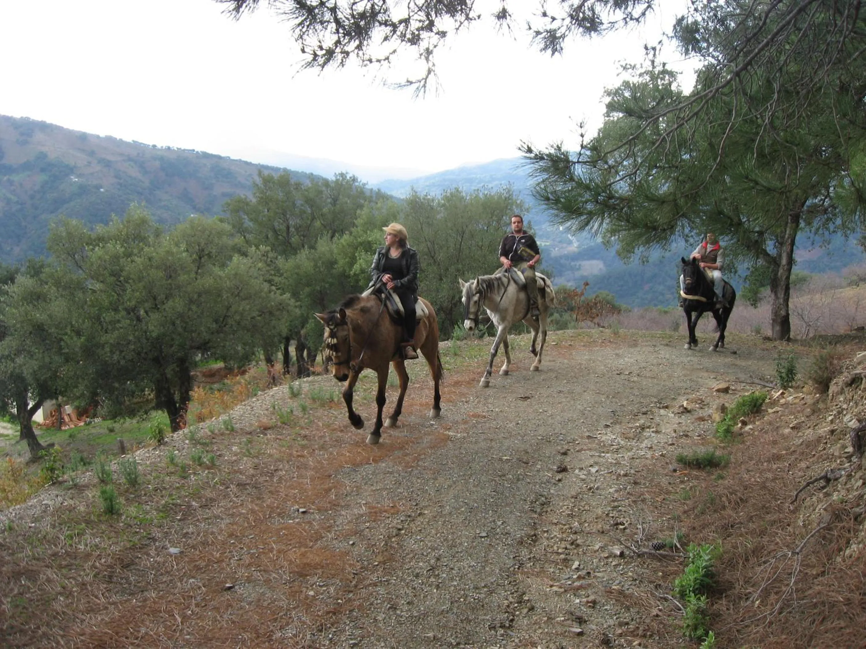 Horse-riding in Hotel Restaurante Las Buitreras