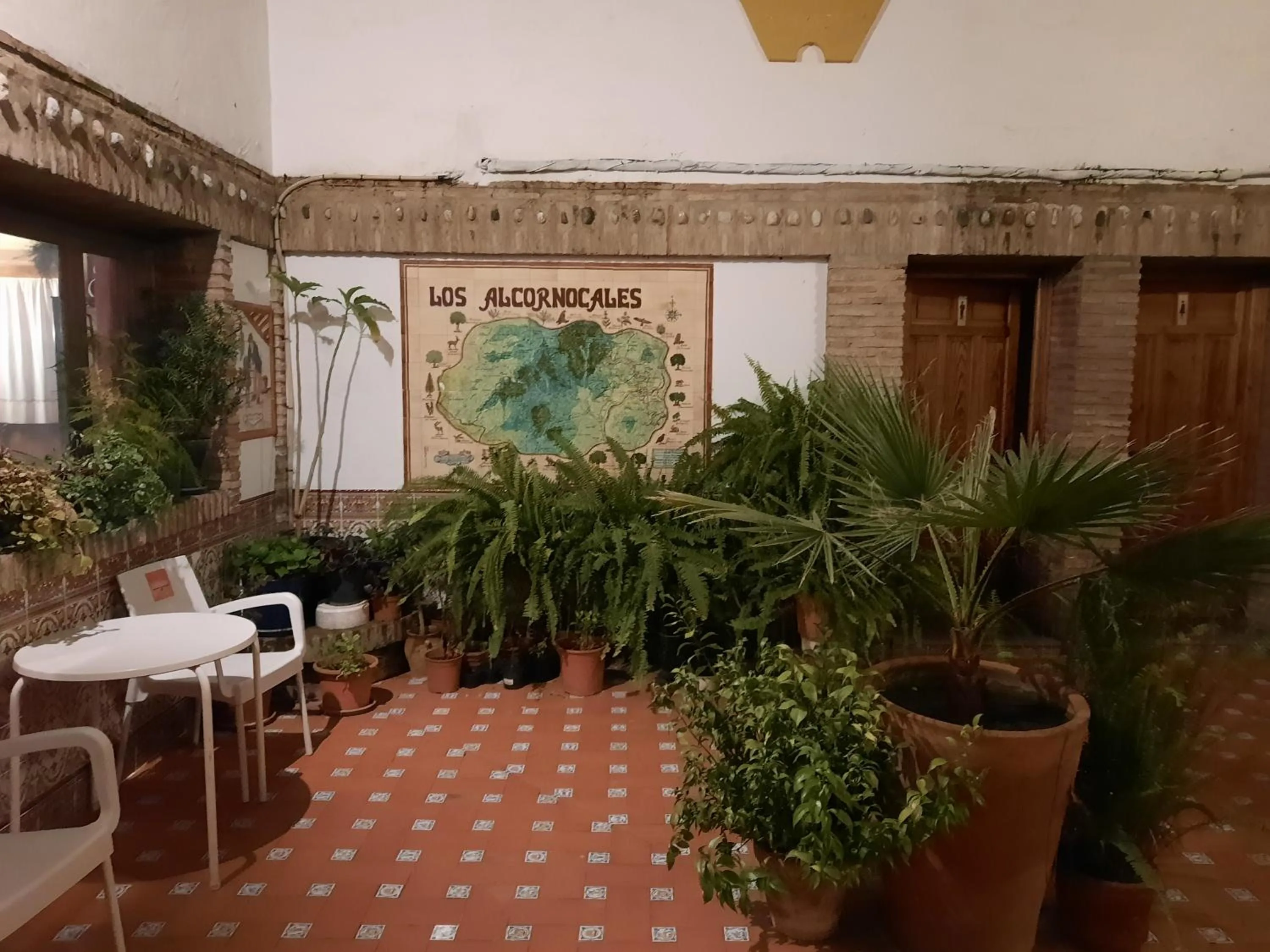 Patio in Hotel Restaurante Las Buitreras