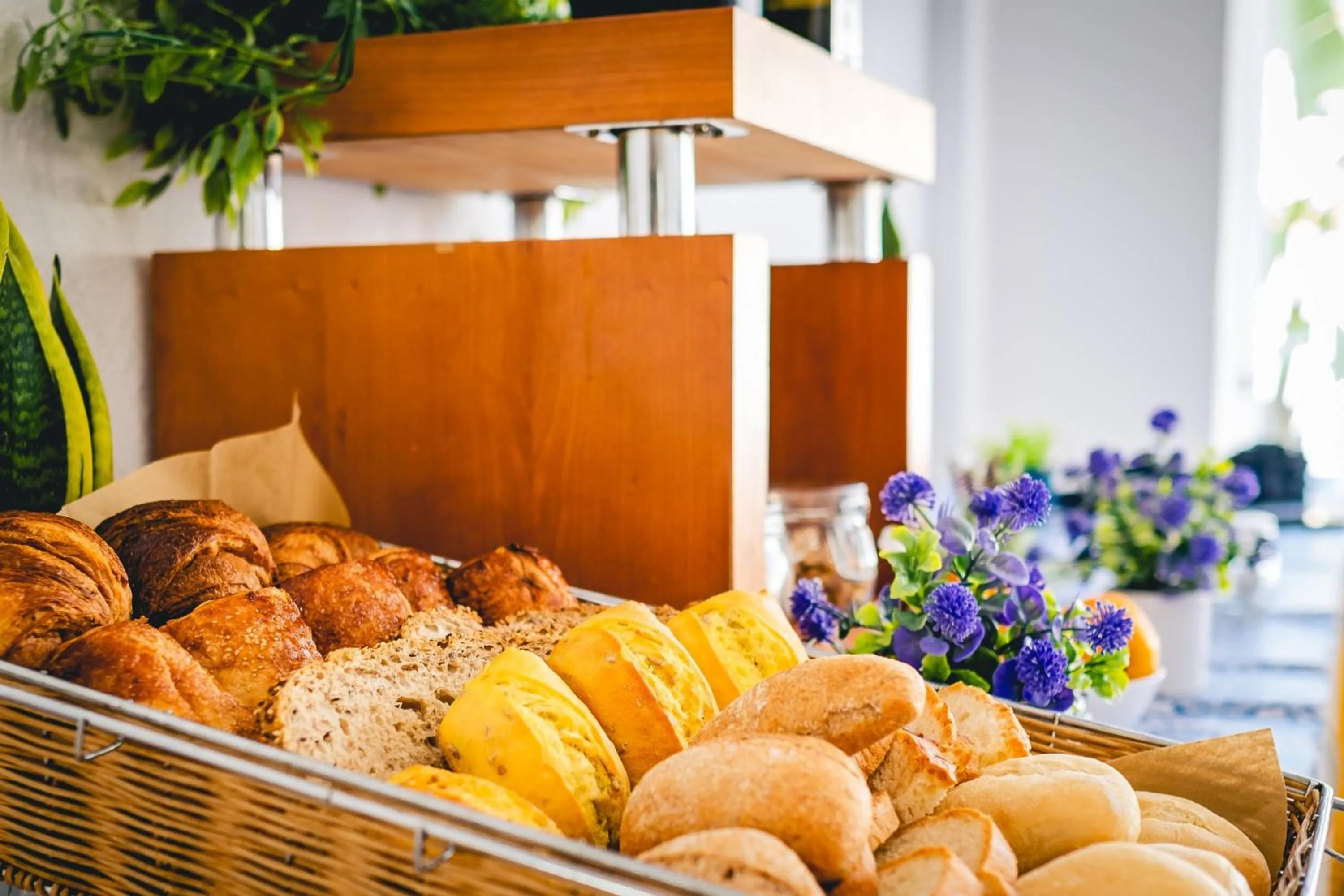 Buffet breakfast in Hotel Don Ignacio