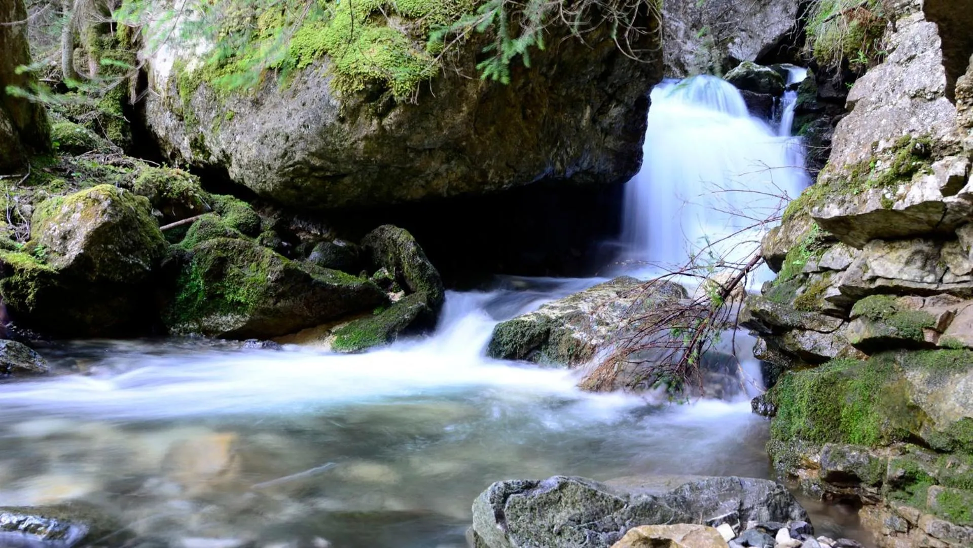 Natural landscape in Hotel Garni Ruscel
