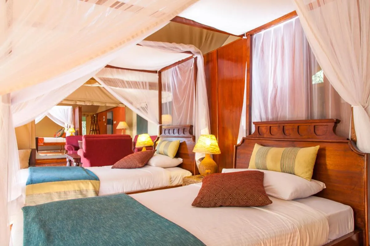 Photo of the whole room, Bed in Mara Leisure Camp