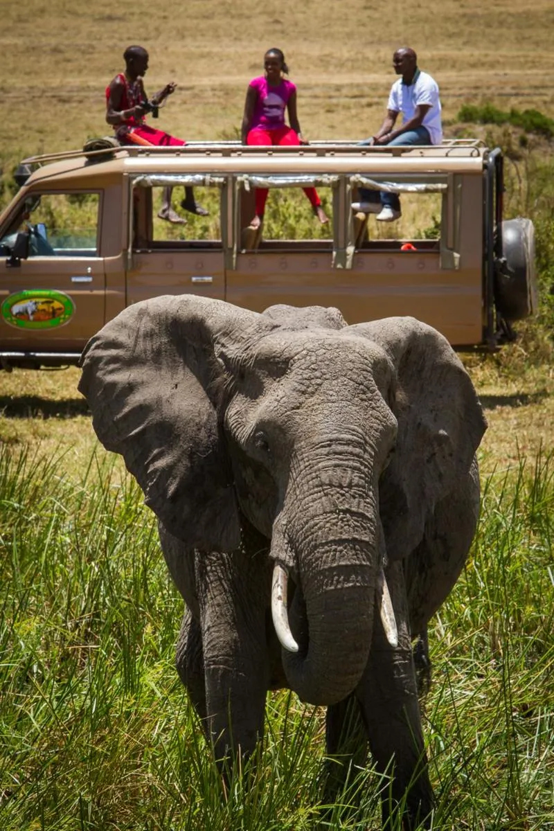Animals in Mara Leisure Camp