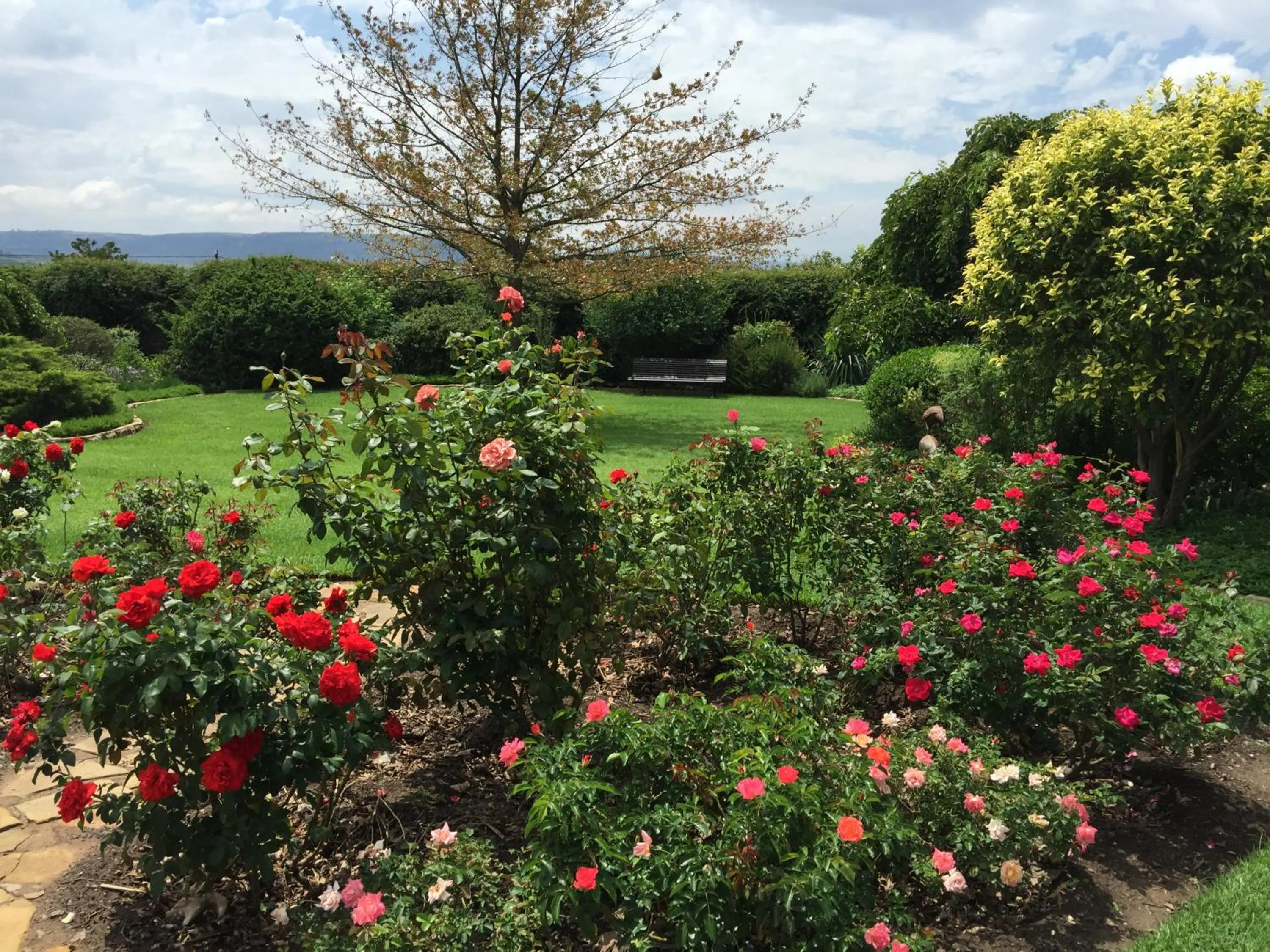 Garden view in Botleng Guest House
