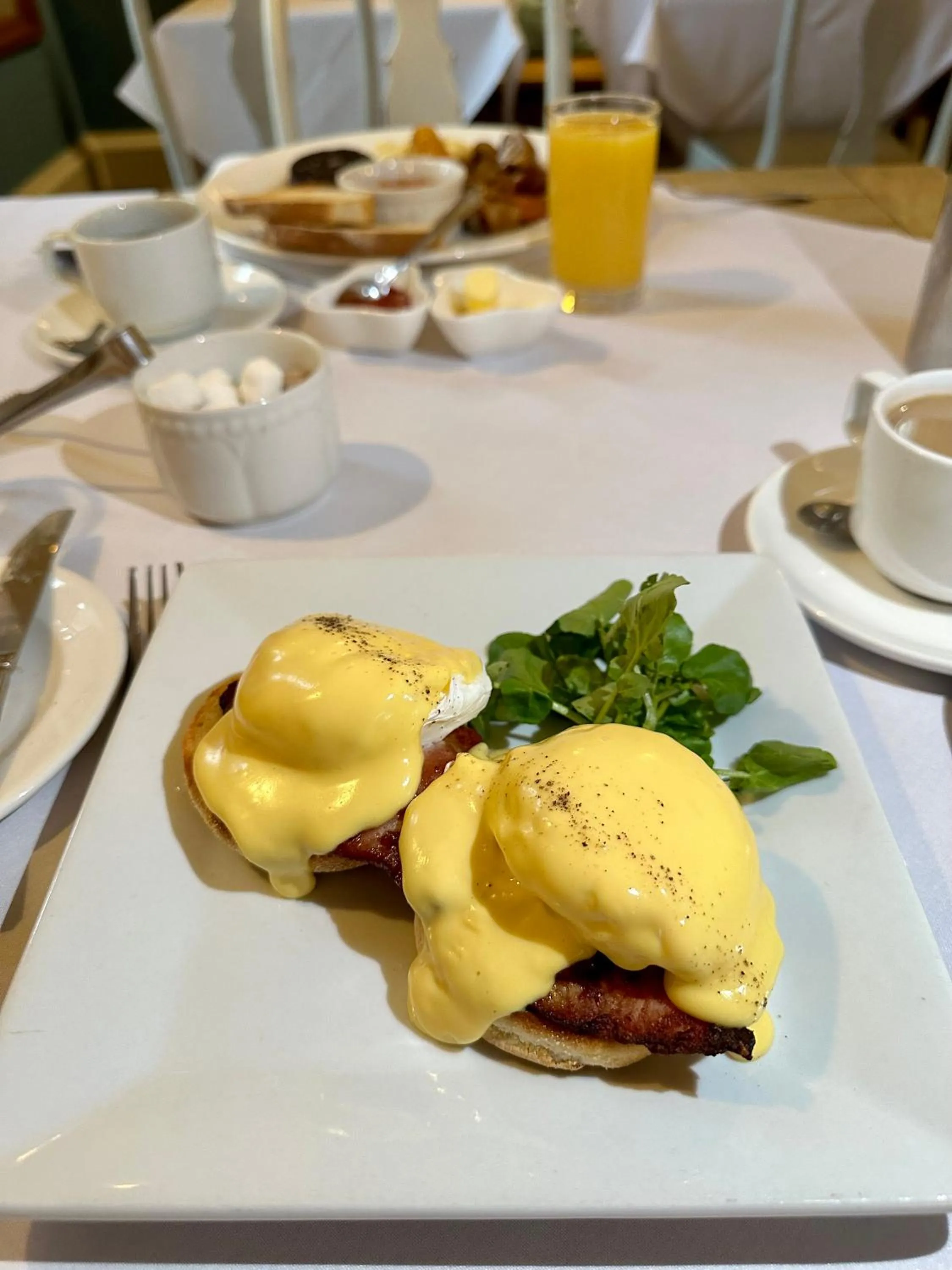 Food in Grafton Manor Hotel